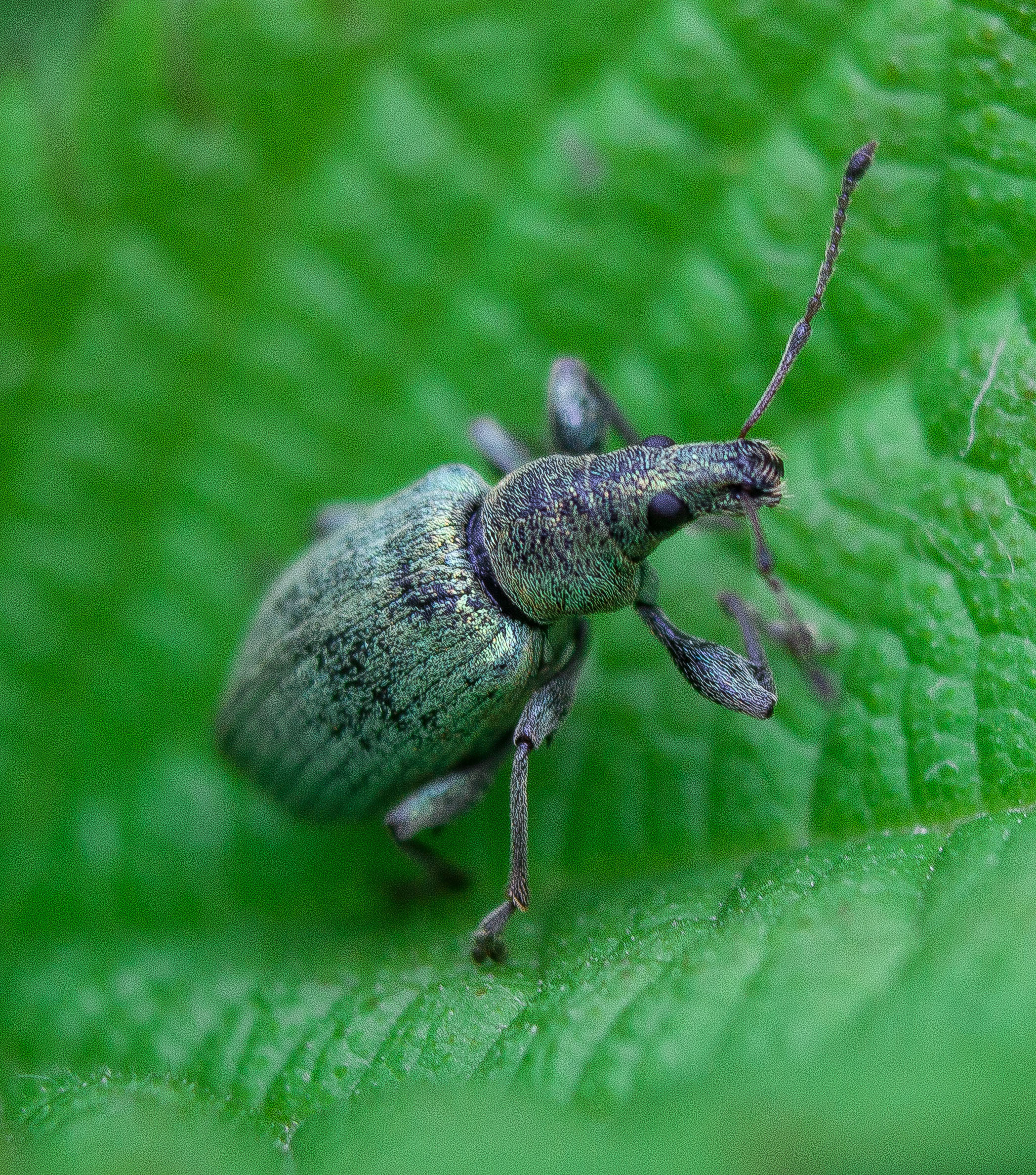 Макро. Обо всём