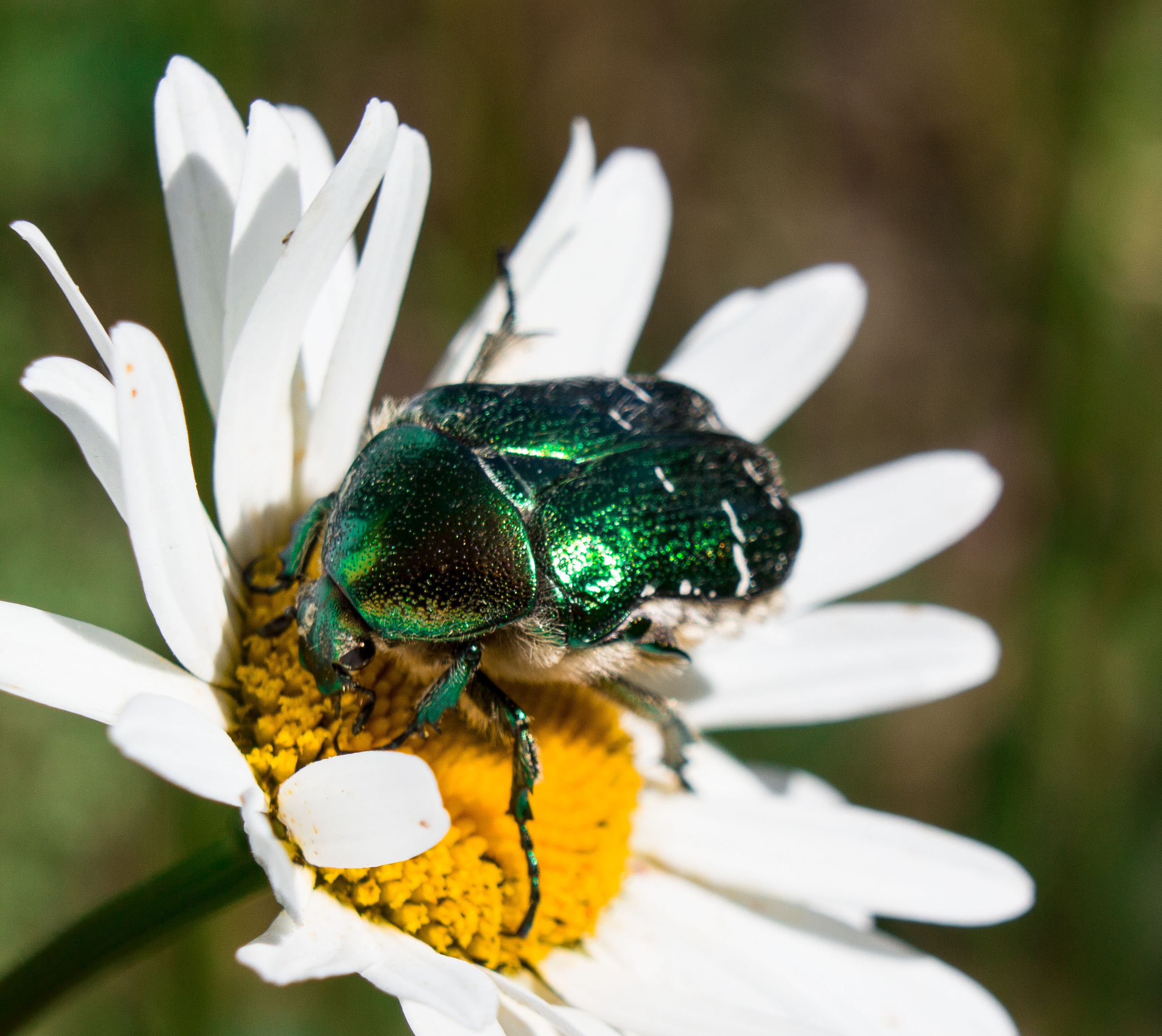 Макро. Обо всём