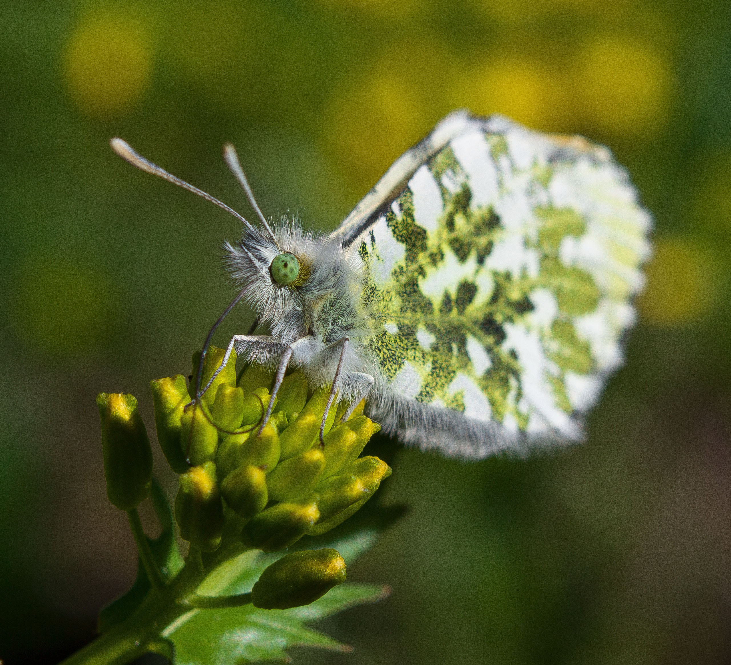 Макро. Обо всём