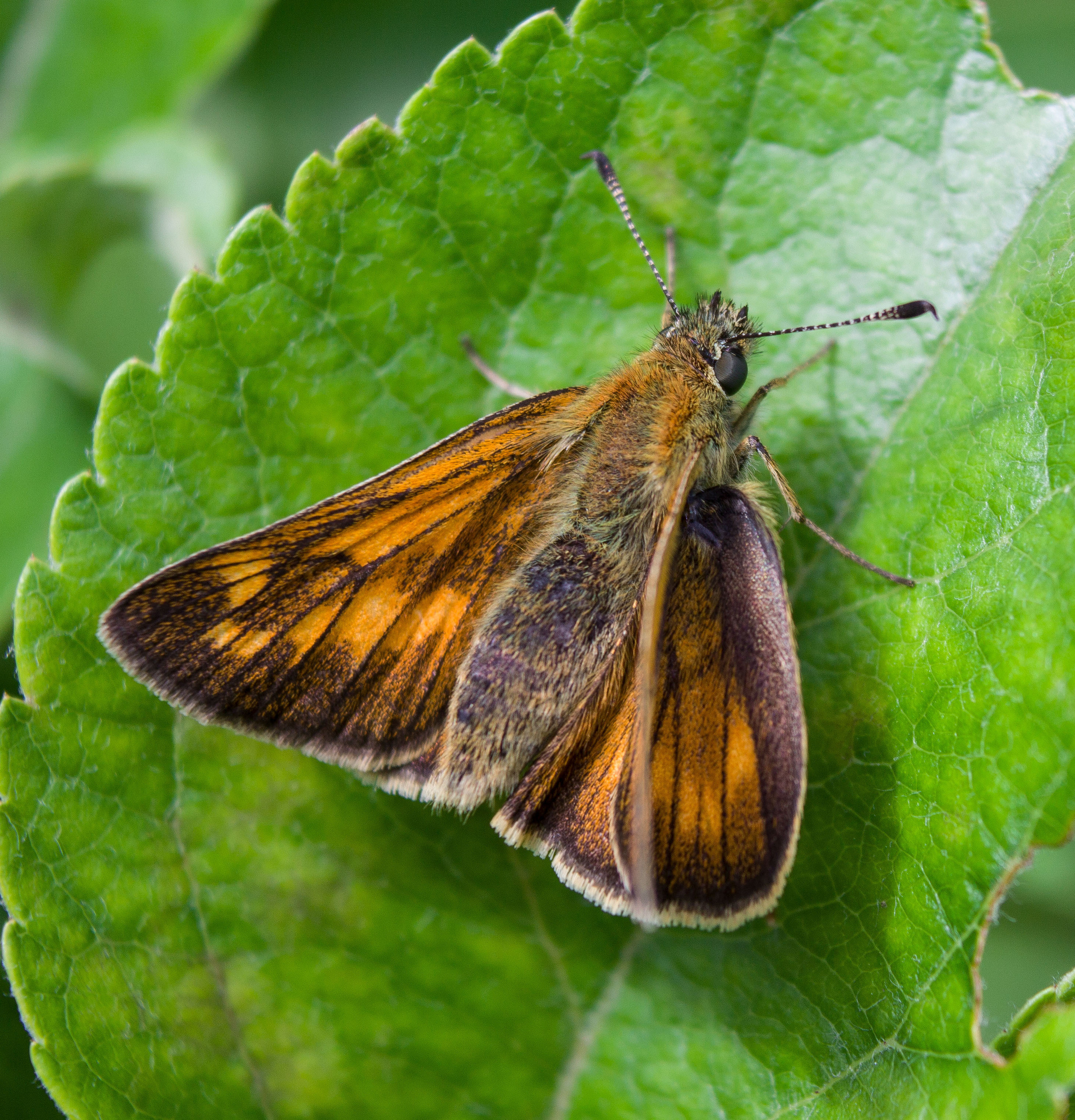 Макро. Обо всём