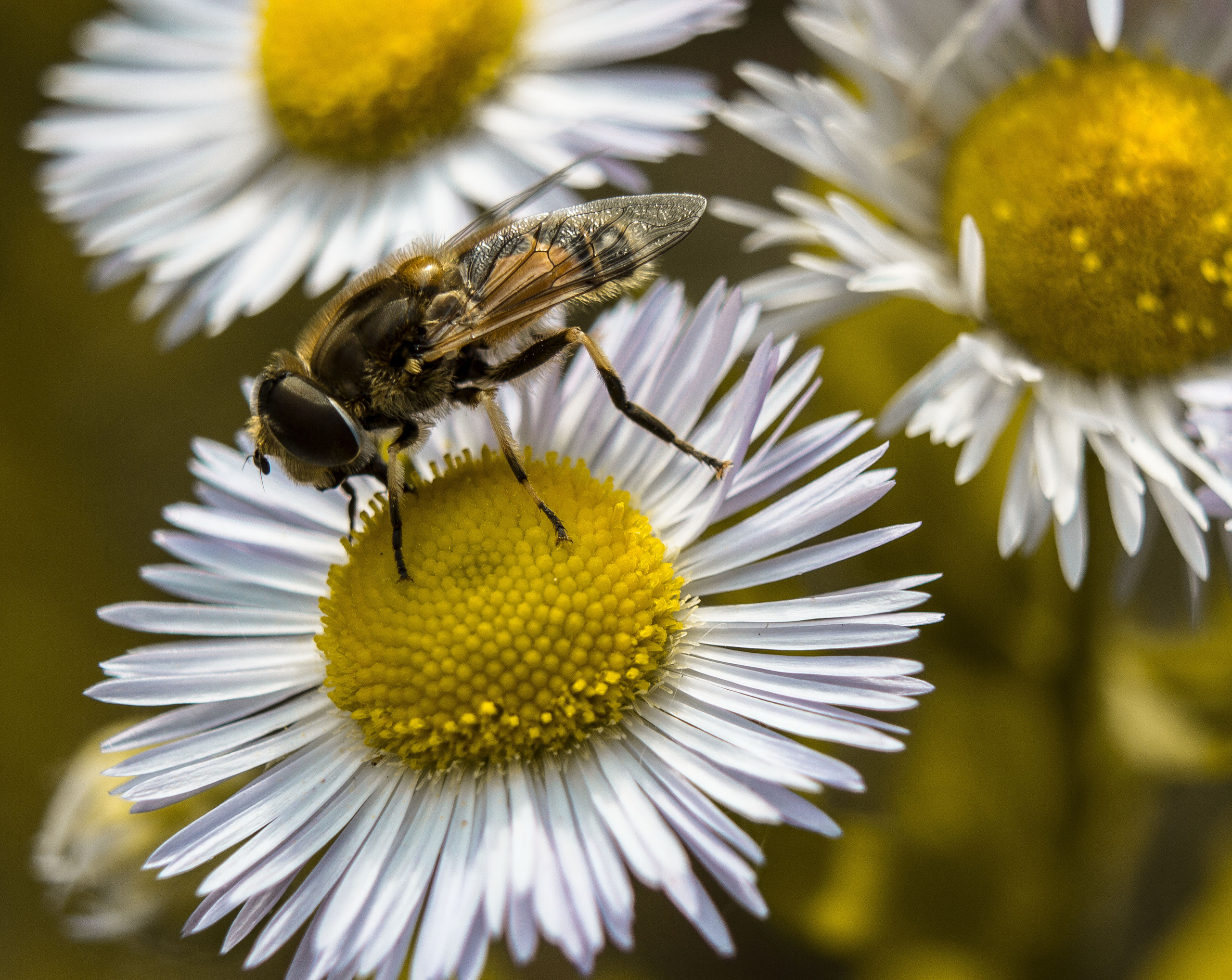 Макро. Обо всём