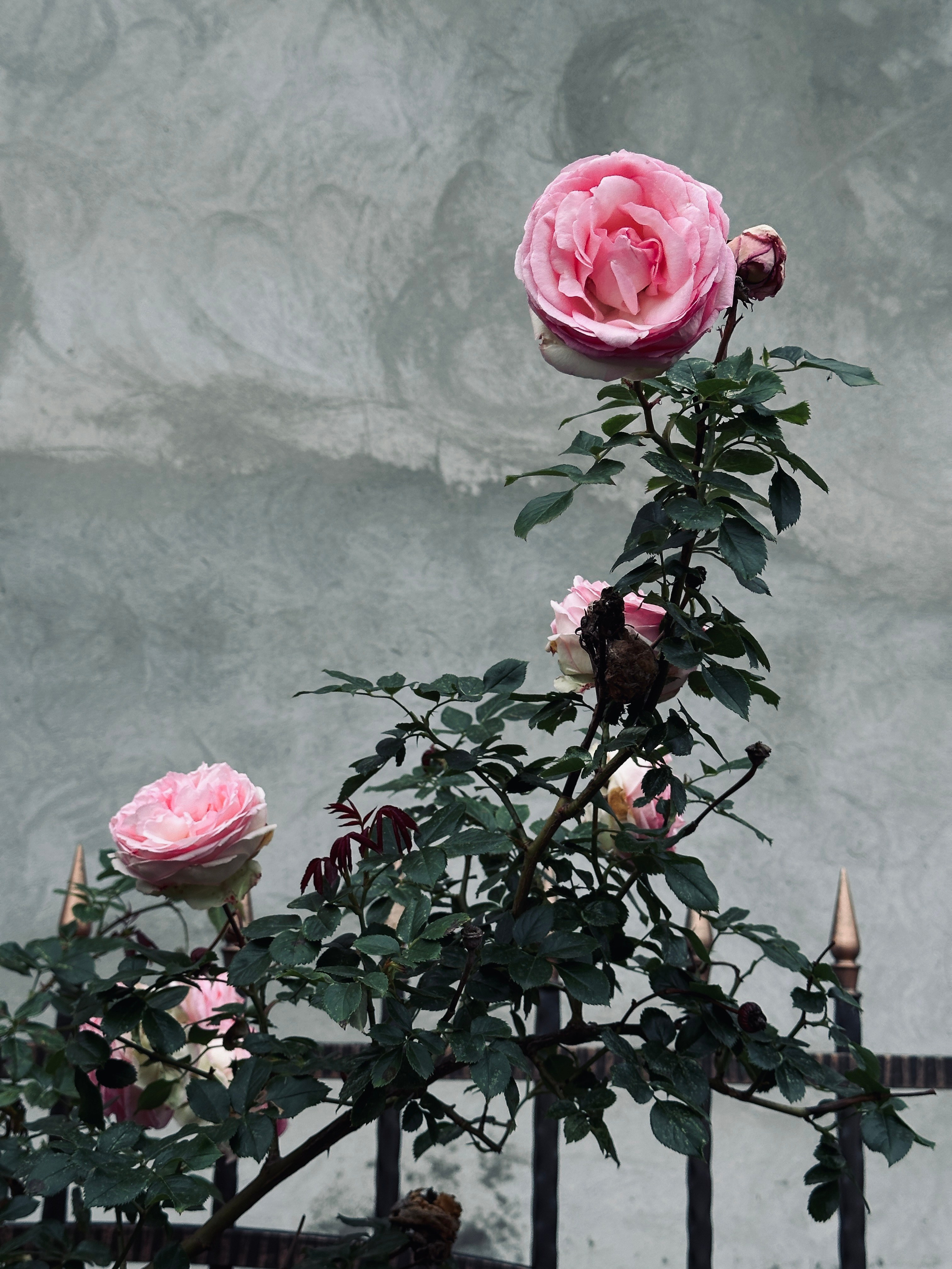 Флора и фауна. Смотри, красота!