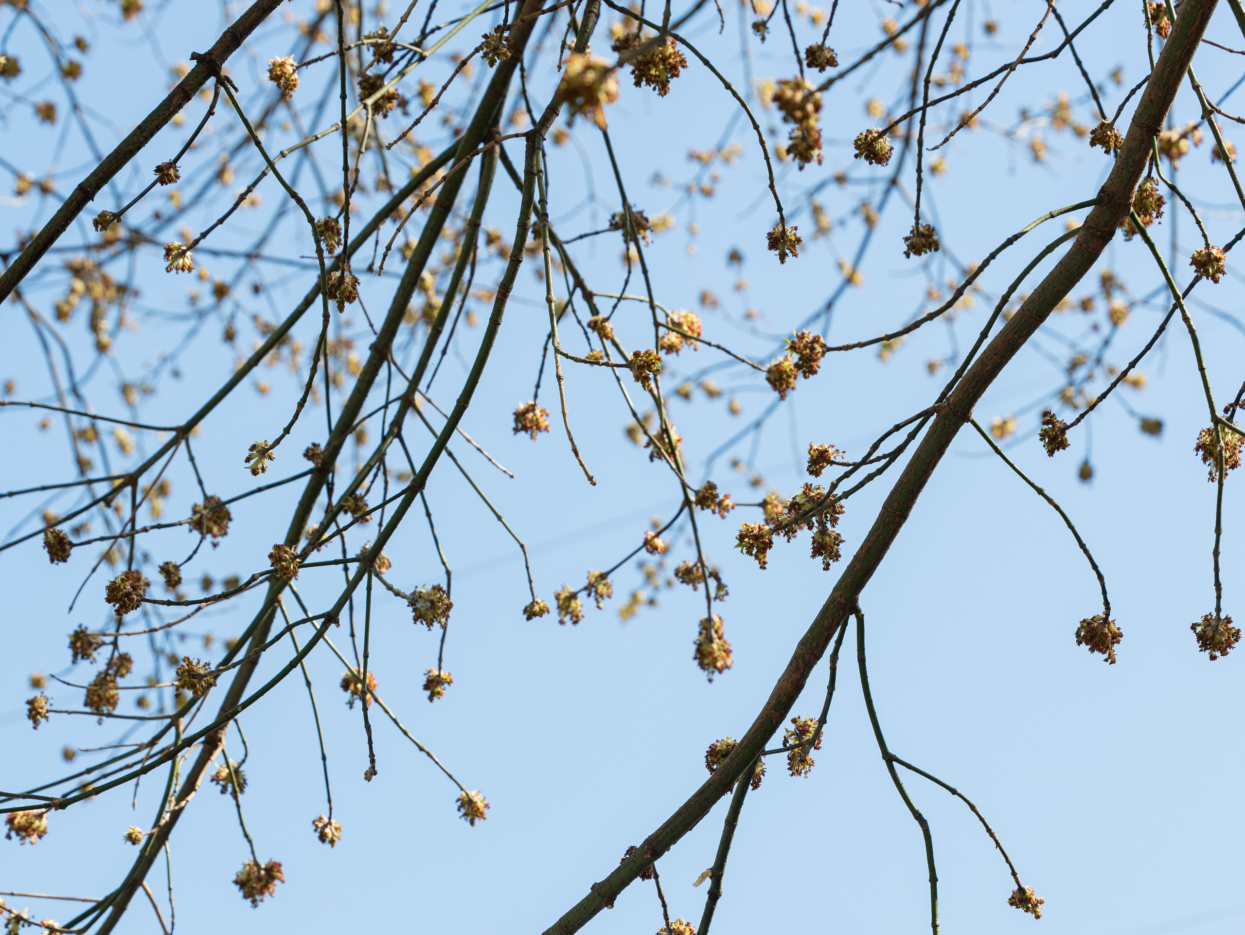 Вероника и Евгений. ФОТОГРАФ Любовь Скок. Москва