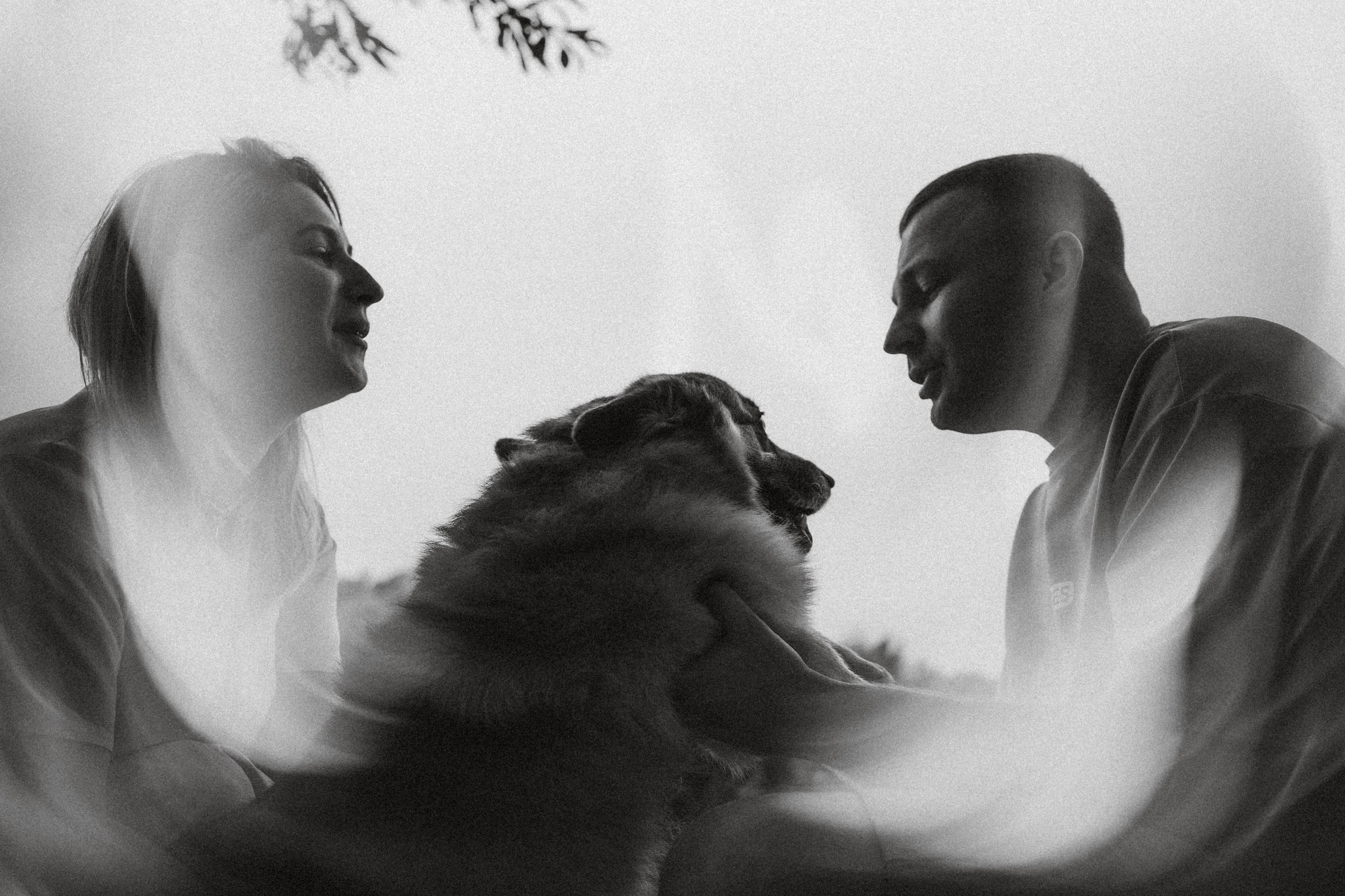 Ира, Леша и Харли