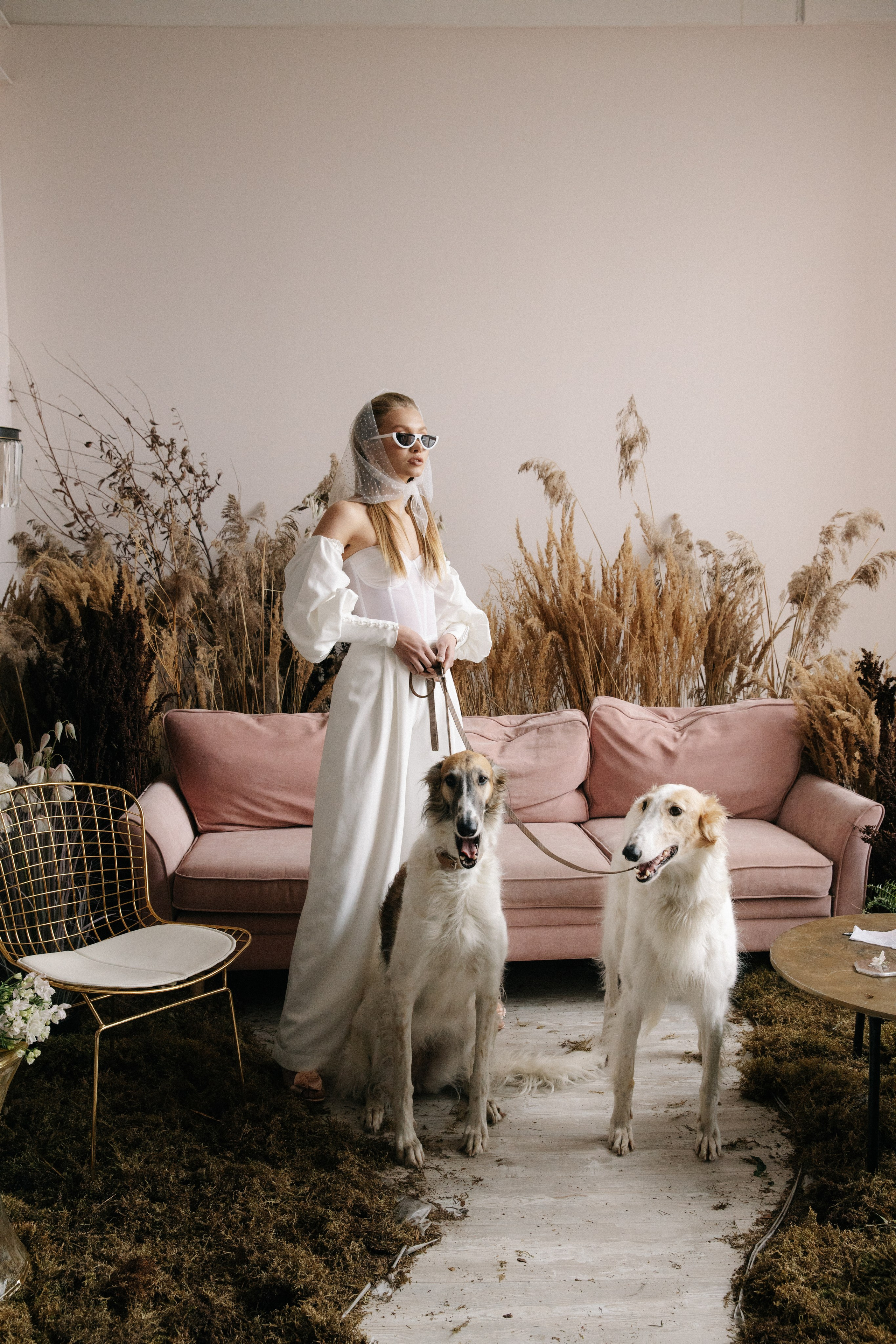 Борзые. Свадебный и семейный фотограф Скрынник Светлана