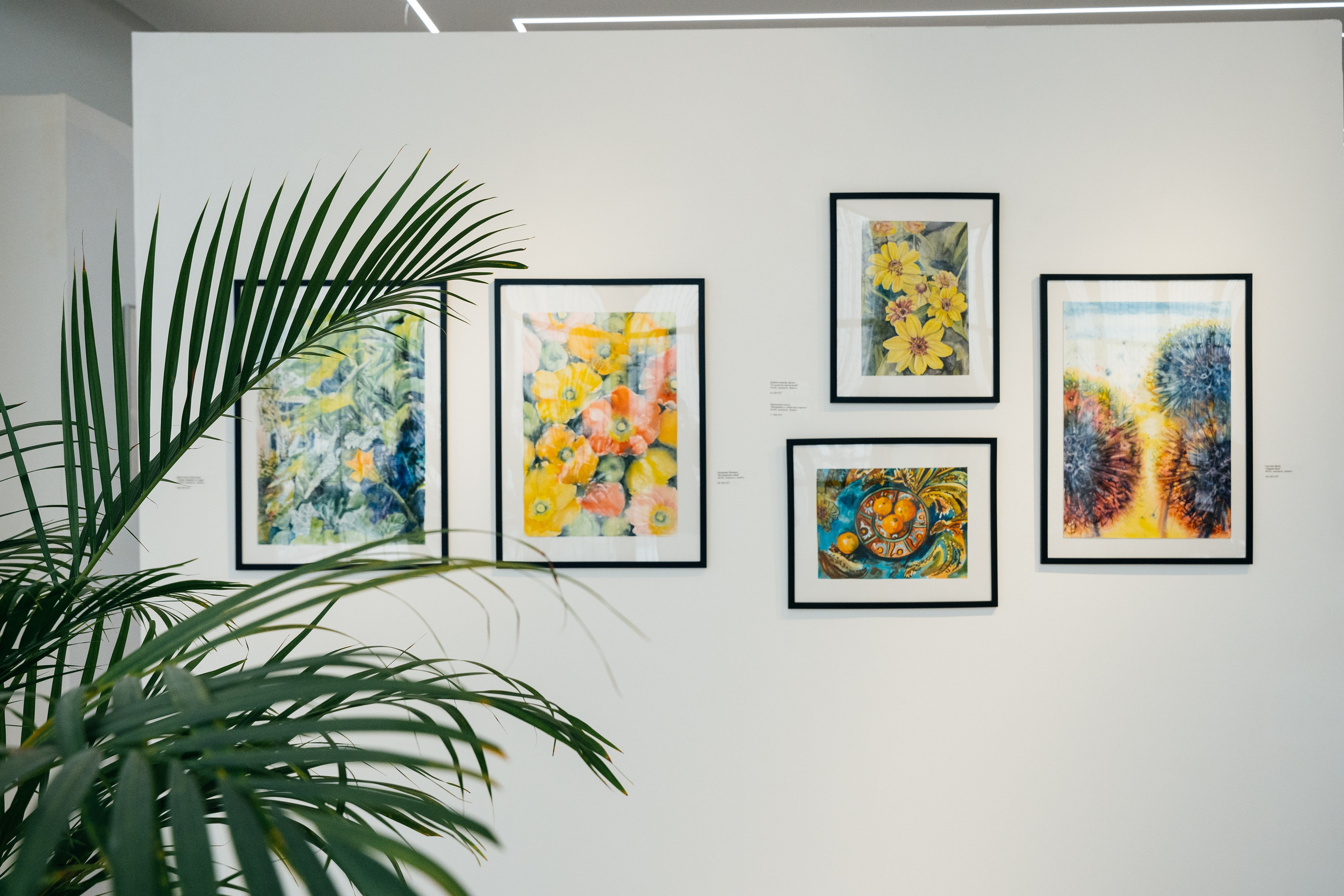 Фестиваль акварели «Течение времени». Репортажный фотограф в Астане — Диана Калтаева, портретный фотограф