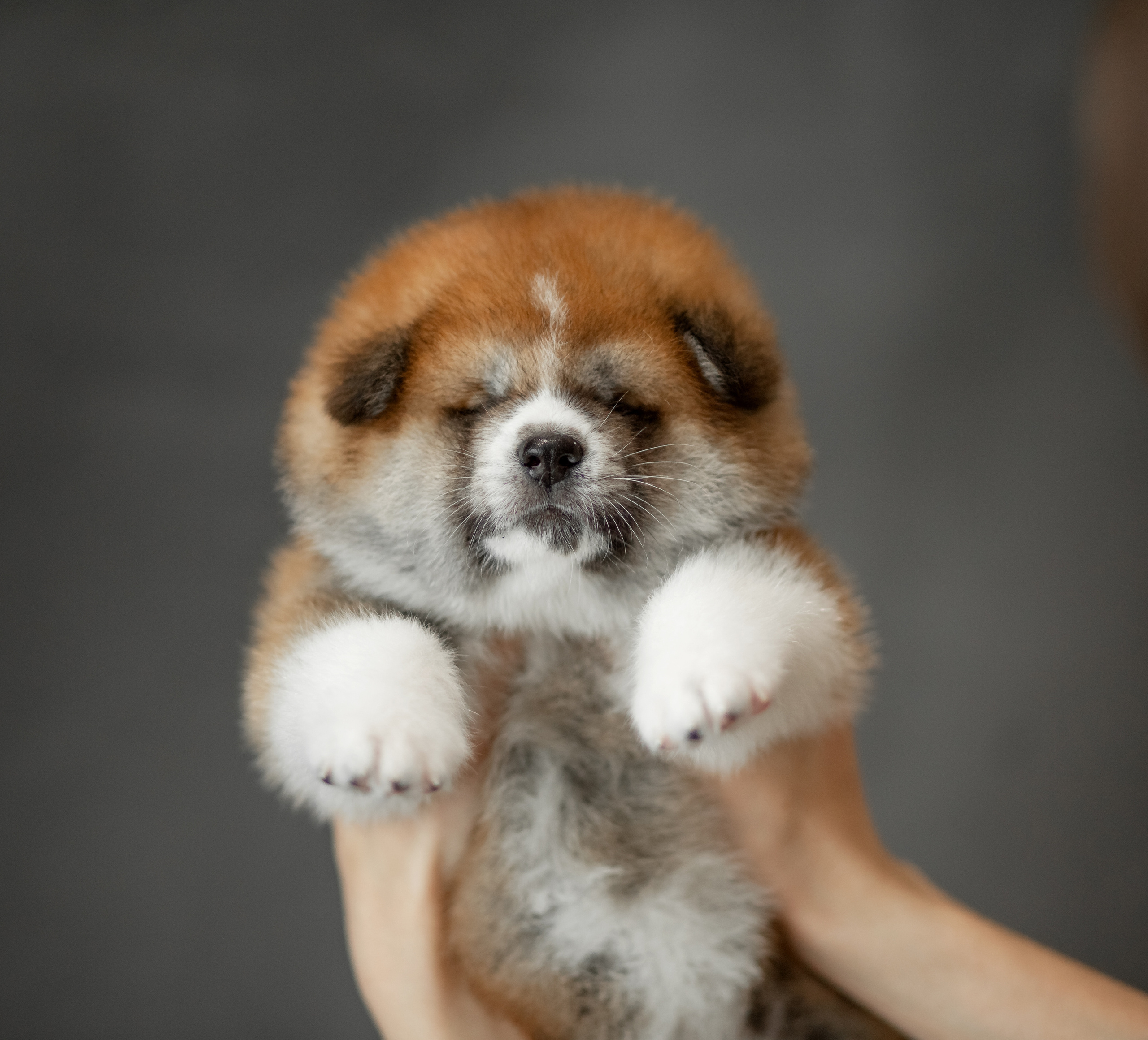 Предыдущие пометы. Алена Попова — фотограф в Хабаровске