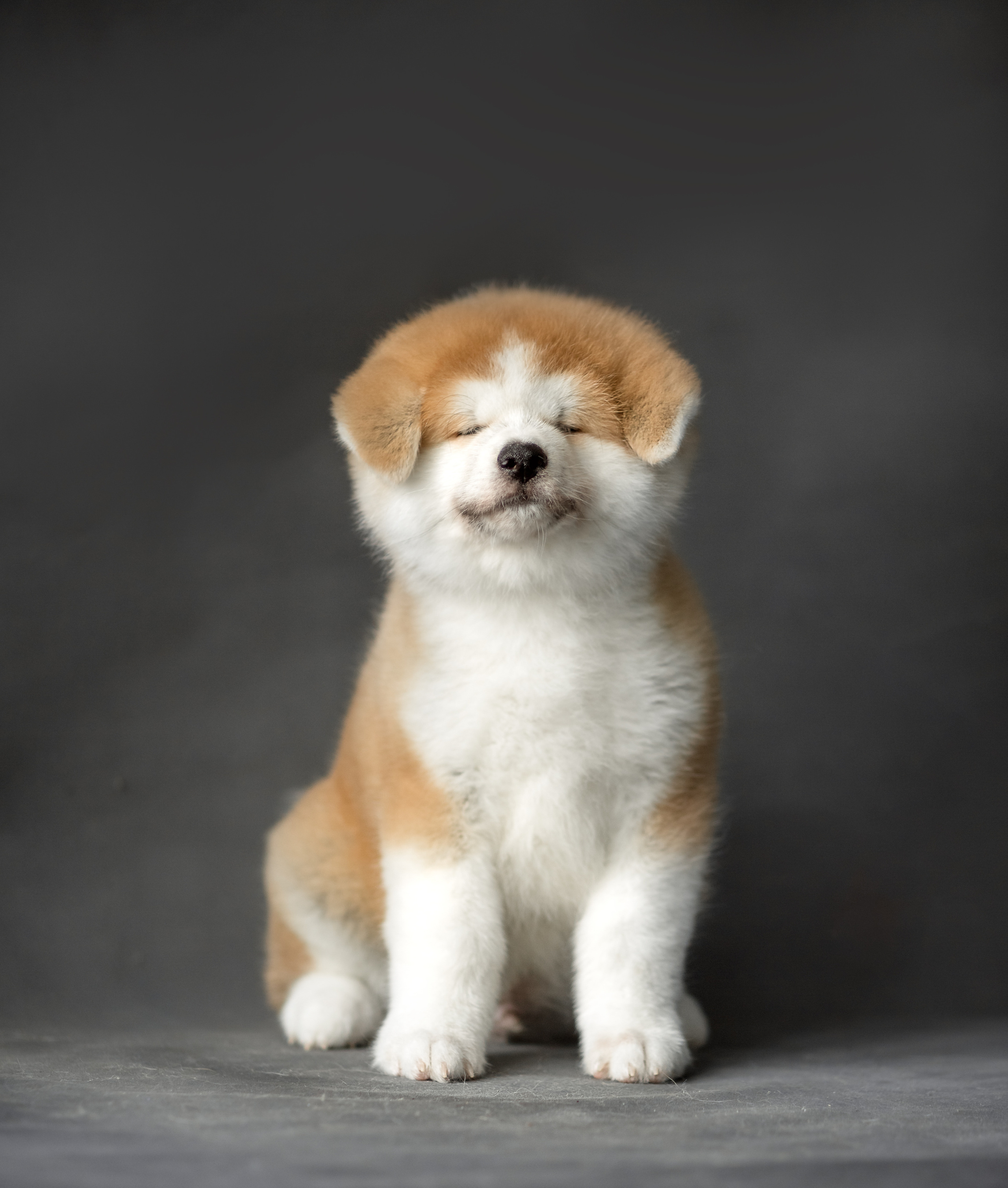 Предыдущие пометы. Алена Попова — фотограф в Хабаровске