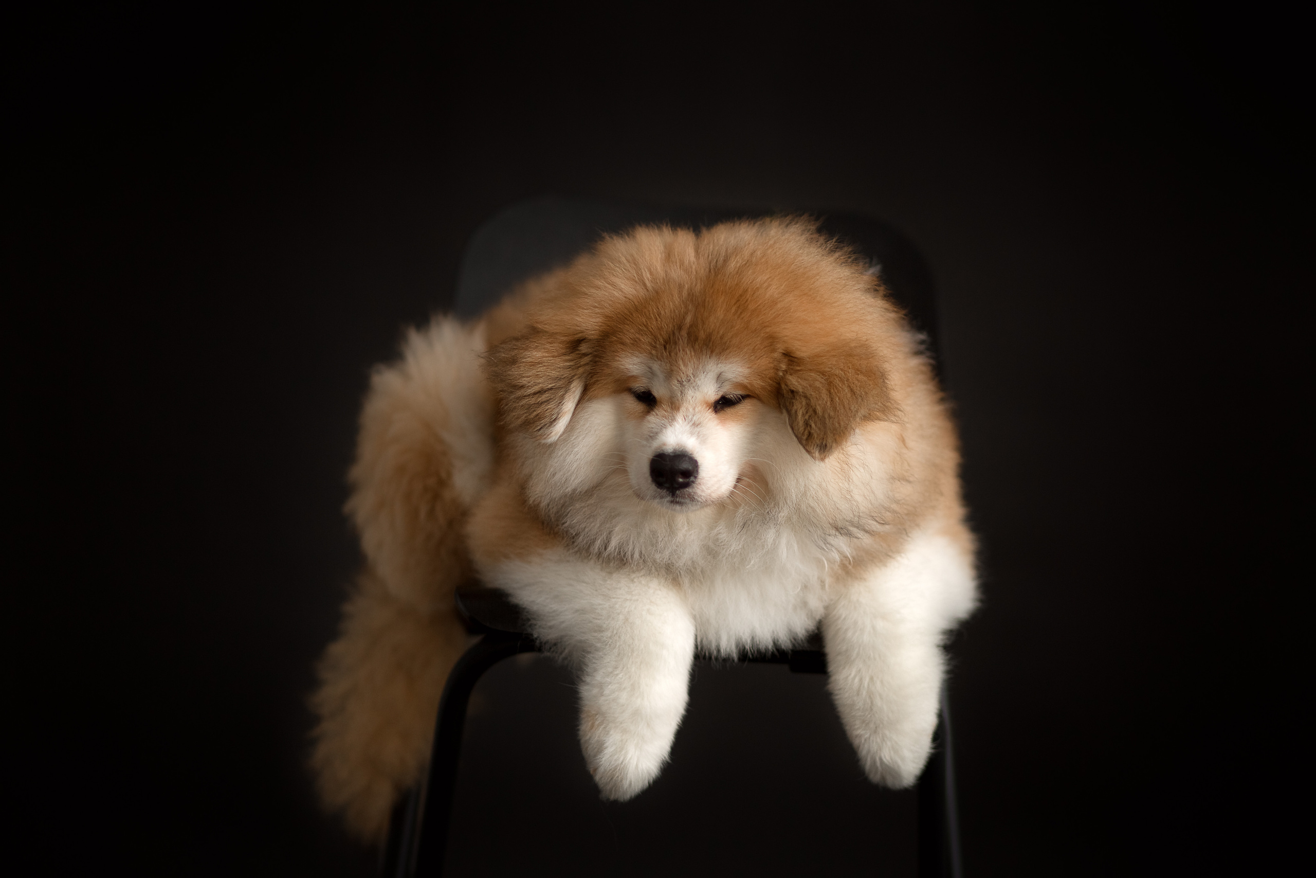 Предыдущие пометы. Алена Попова — фотограф в Хабаровске