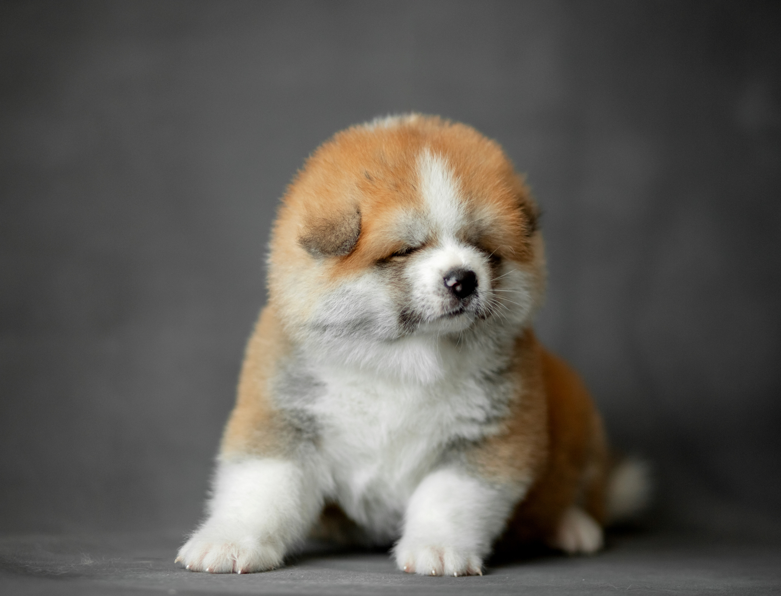 Предыдущие пометы. Алена Попова — фотограф в Хабаровске