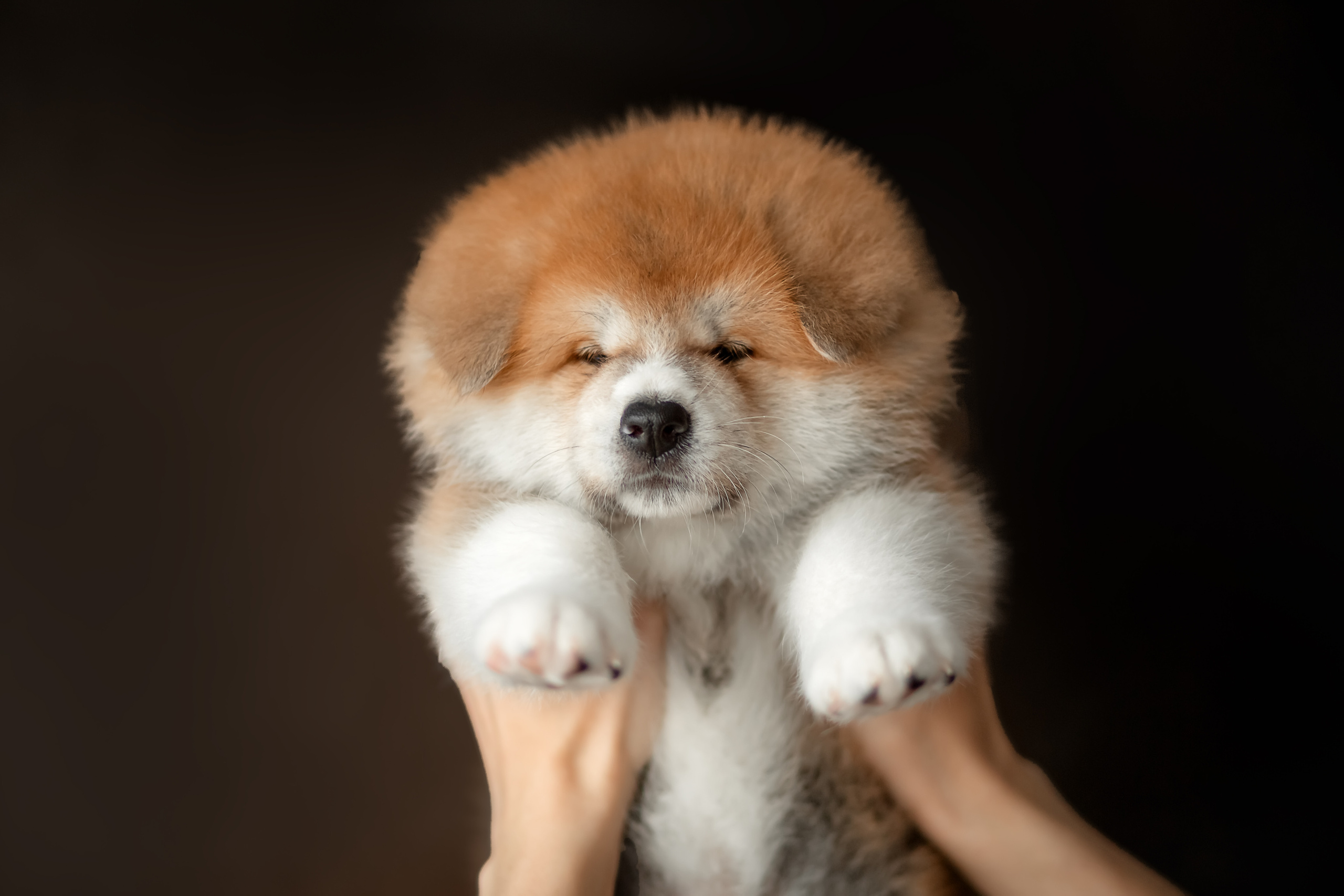 Предыдущие пометы. Алена Попова — фотограф в Хабаровске