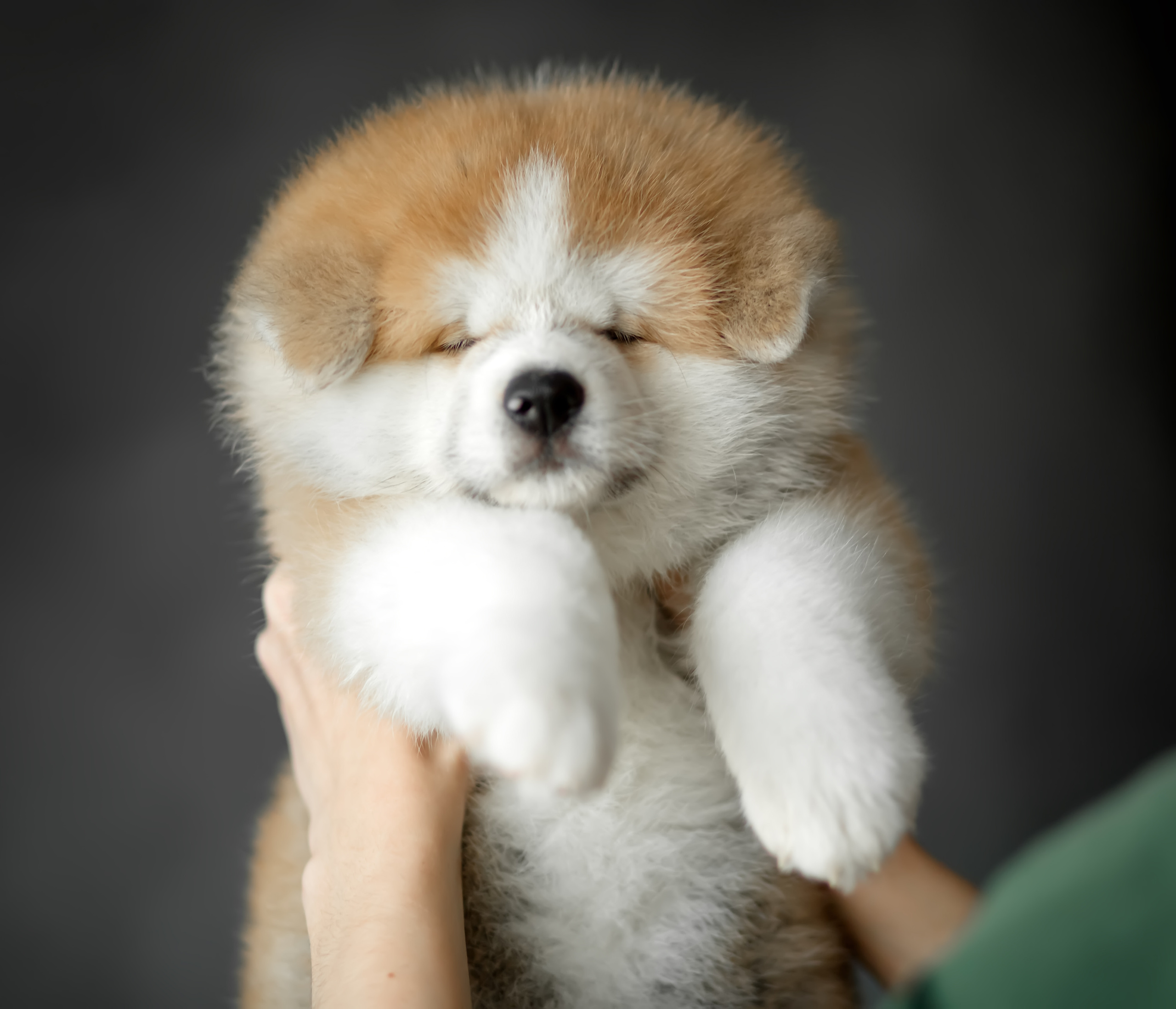 Предыдущие пометы. Алена Попова — фотограф в Хабаровске