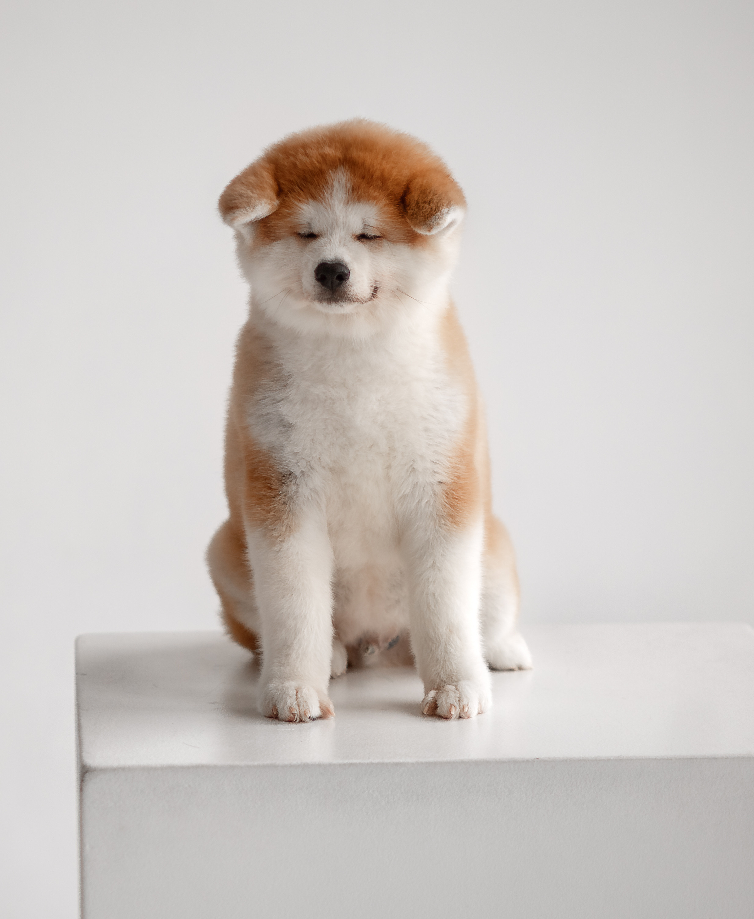 Предыдущие пометы. Алена Попова — фотограф в Хабаровске