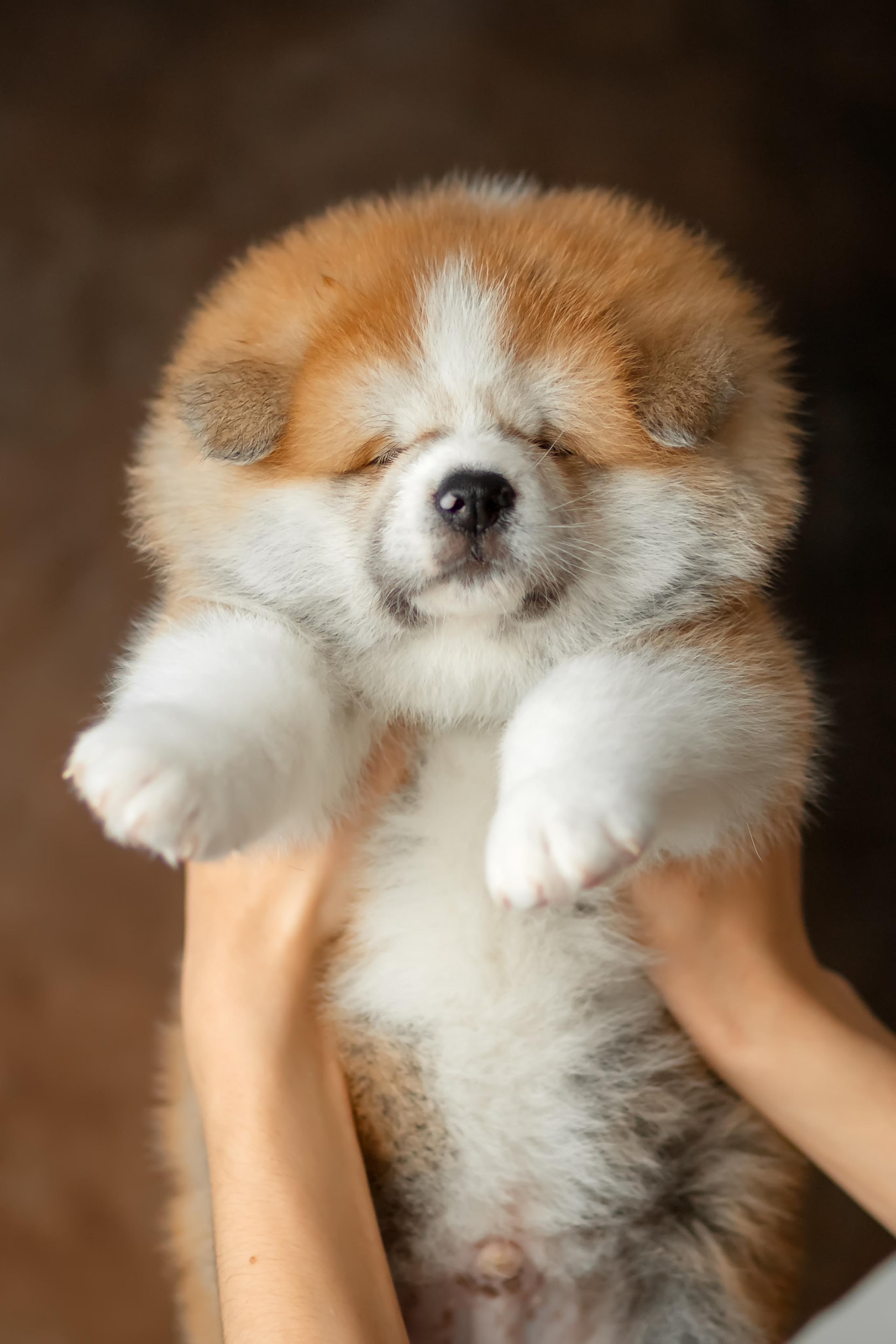 Предыдущие пометы. Алена Попова — фотограф в Хабаровске