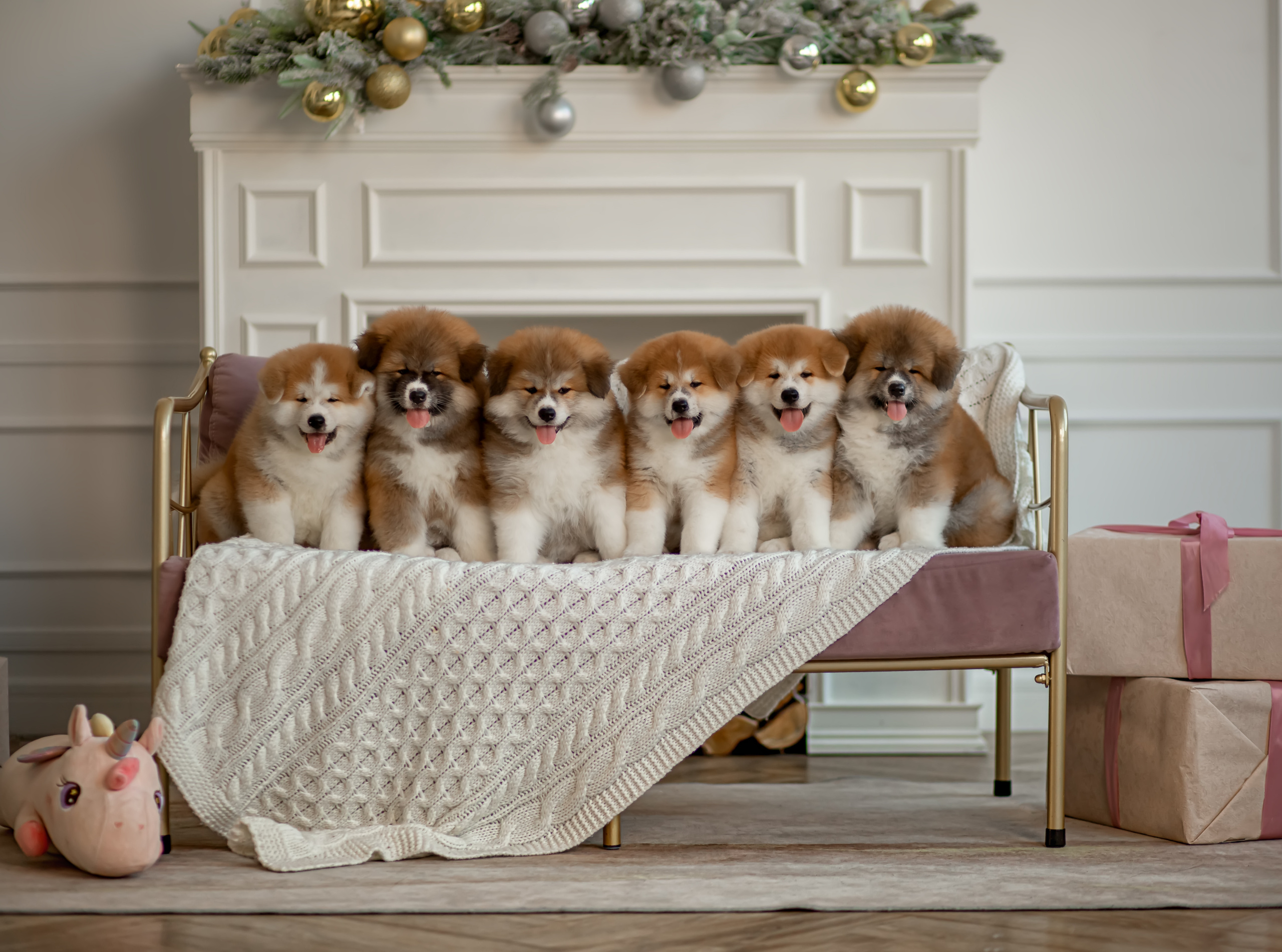 Предыдущие пометы. Алена Попова — фотограф в Хабаровске