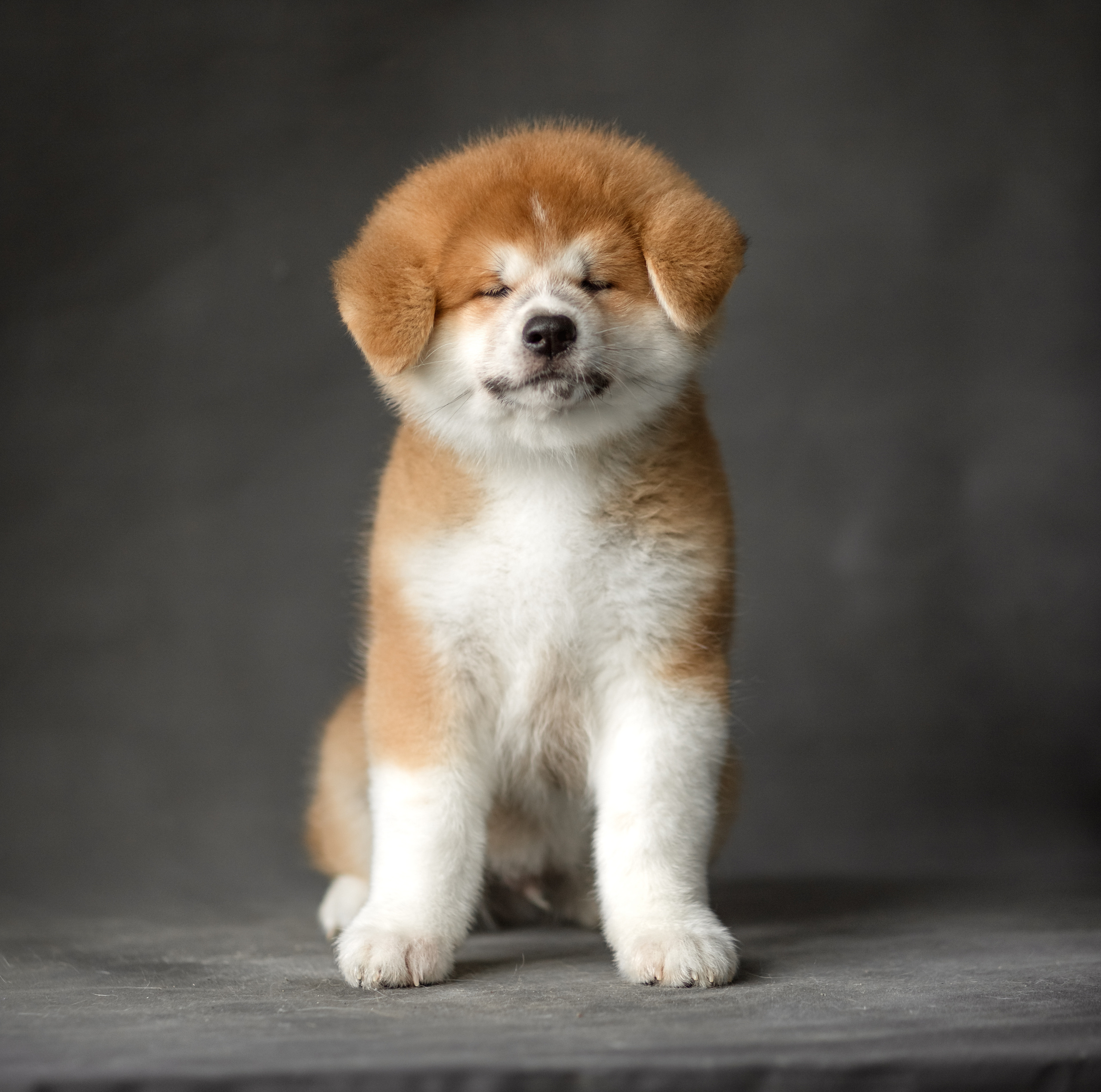 Предыдущие пометы. Алена Попова — фотограф в Хабаровске