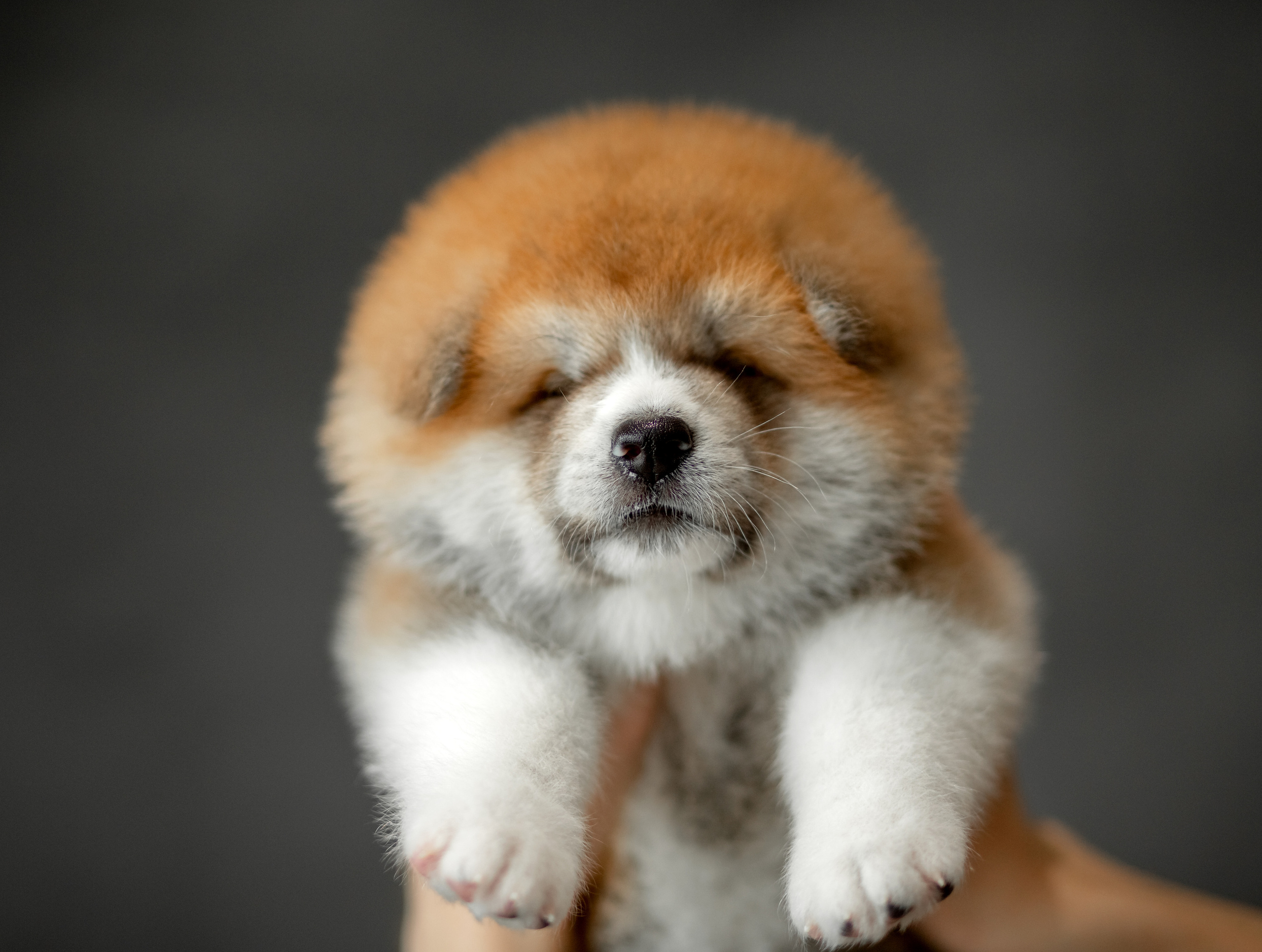 Предыдущие пометы. Алена Попова — фотограф в Хабаровске