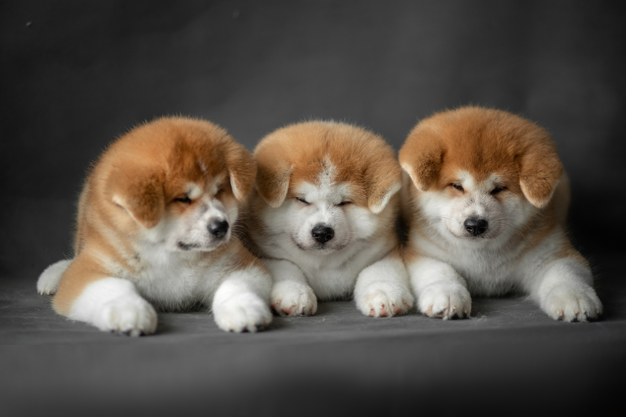 Предыдущие пометы. Алена Попова — фотограф в Хабаровске