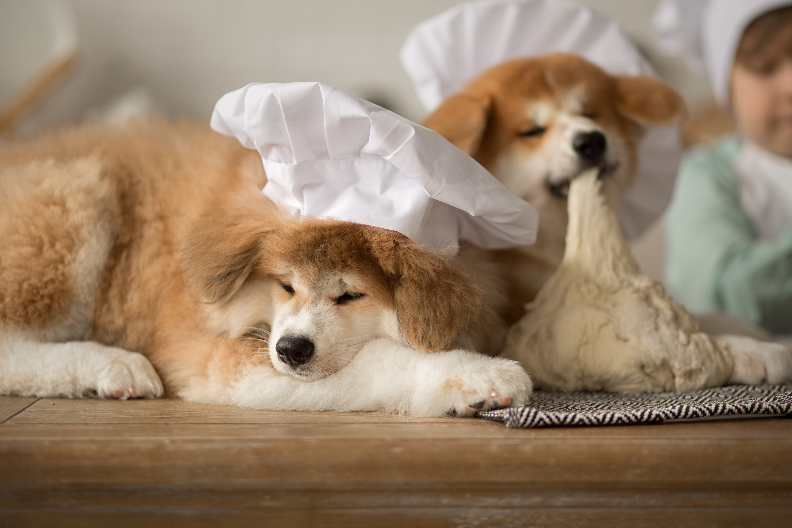 Предыдущие пометы. Алена Попова — фотограф в Хабаровске