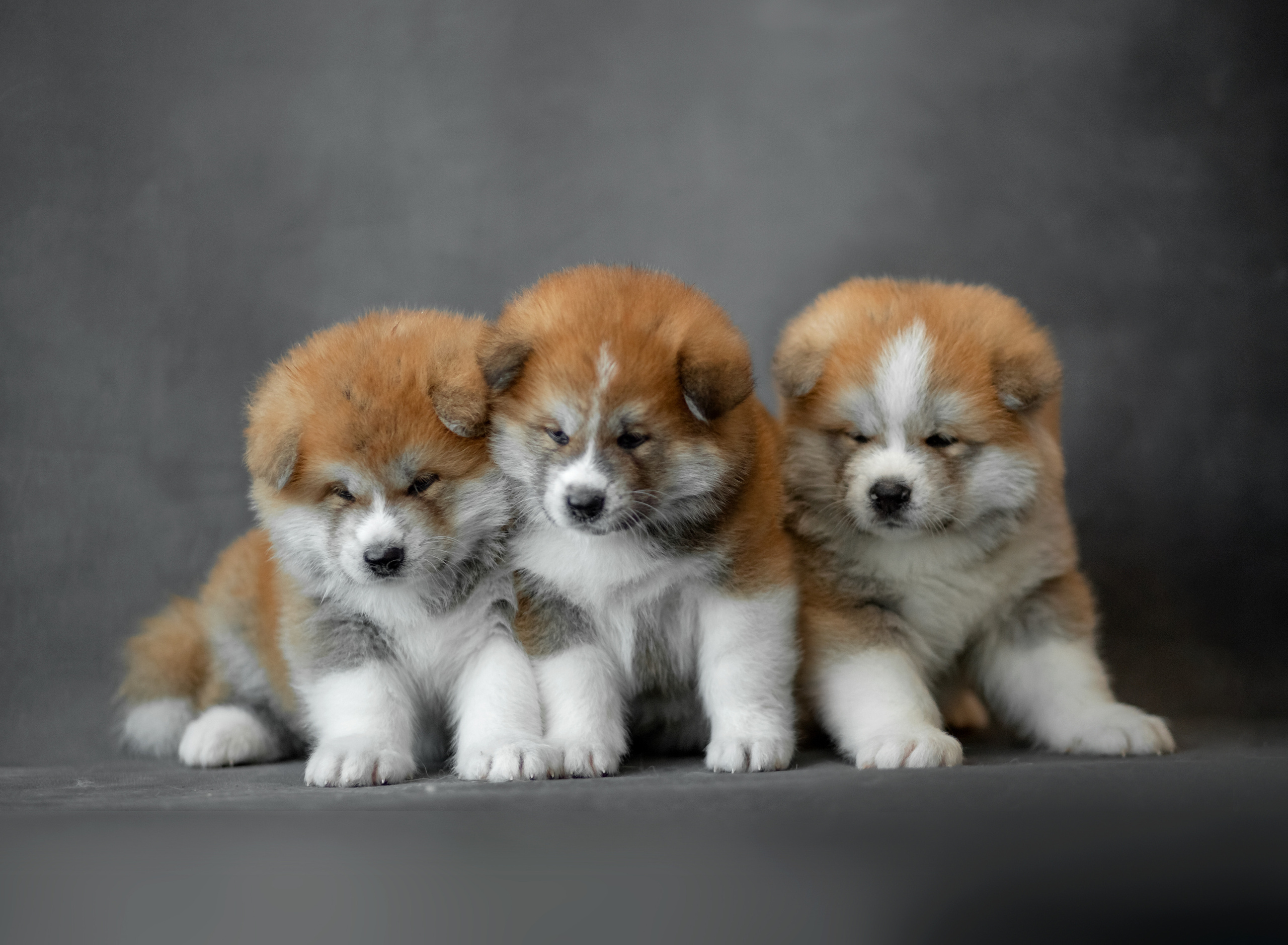 Предыдущие пометы. Алена Попова — фотограф в Хабаровске