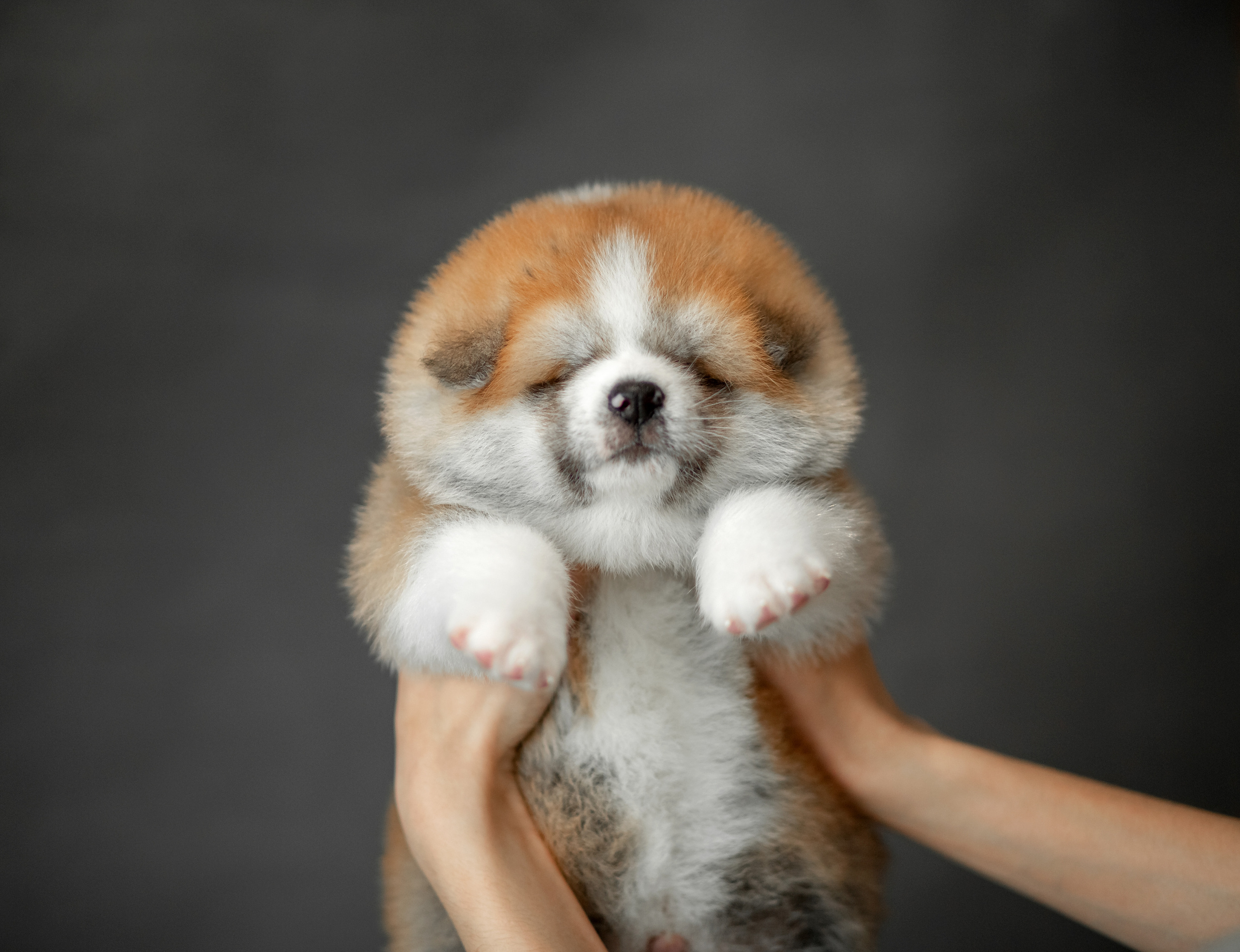 Предыдущие пометы. Алена Попова — фотограф в Хабаровске