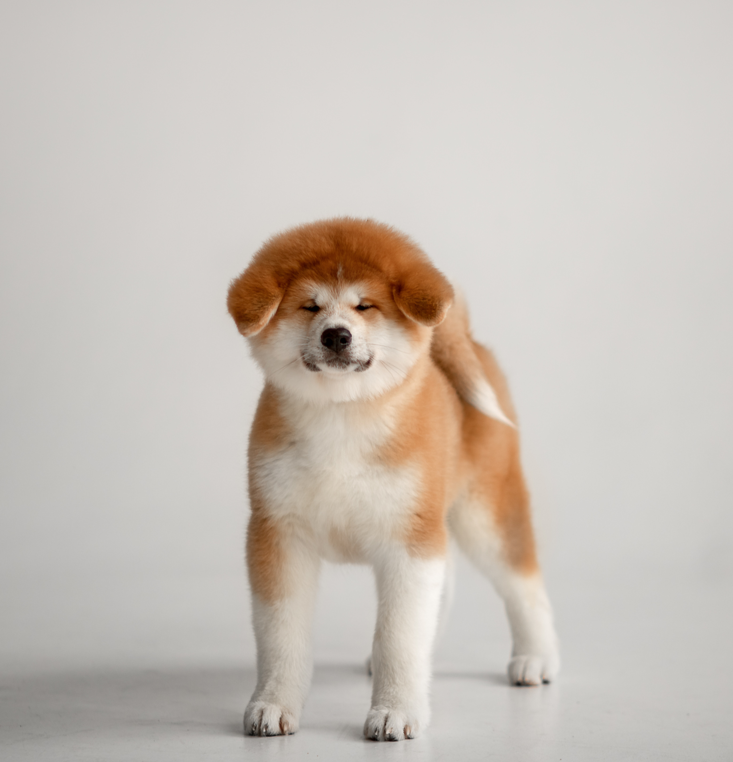 Предыдущие пометы. Алена Попова — фотограф в Хабаровске