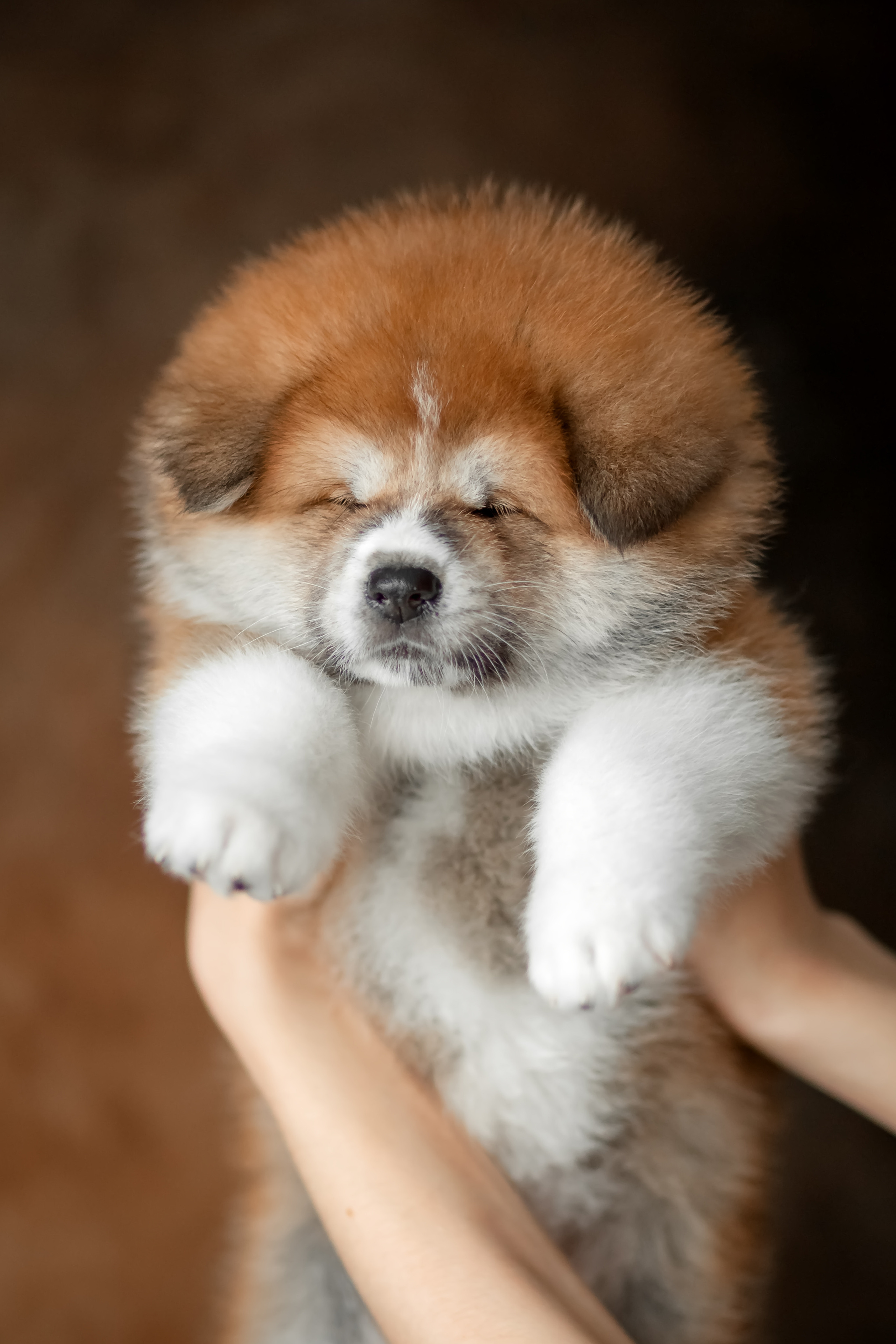 Предыдущие пометы. Алена Попова — фотограф в Хабаровске