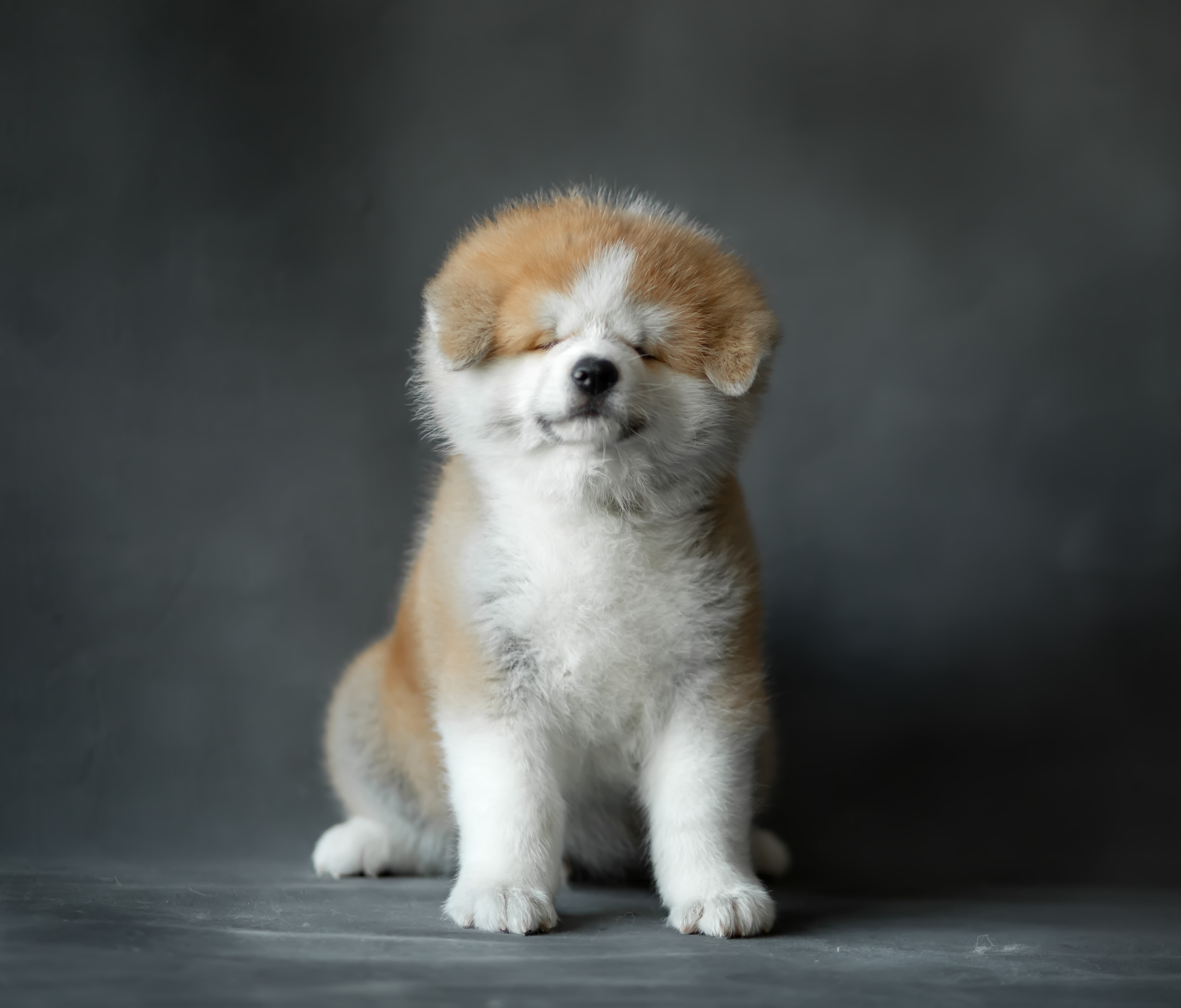 Предыдущие пометы. Алена Попова — фотограф в Хабаровске