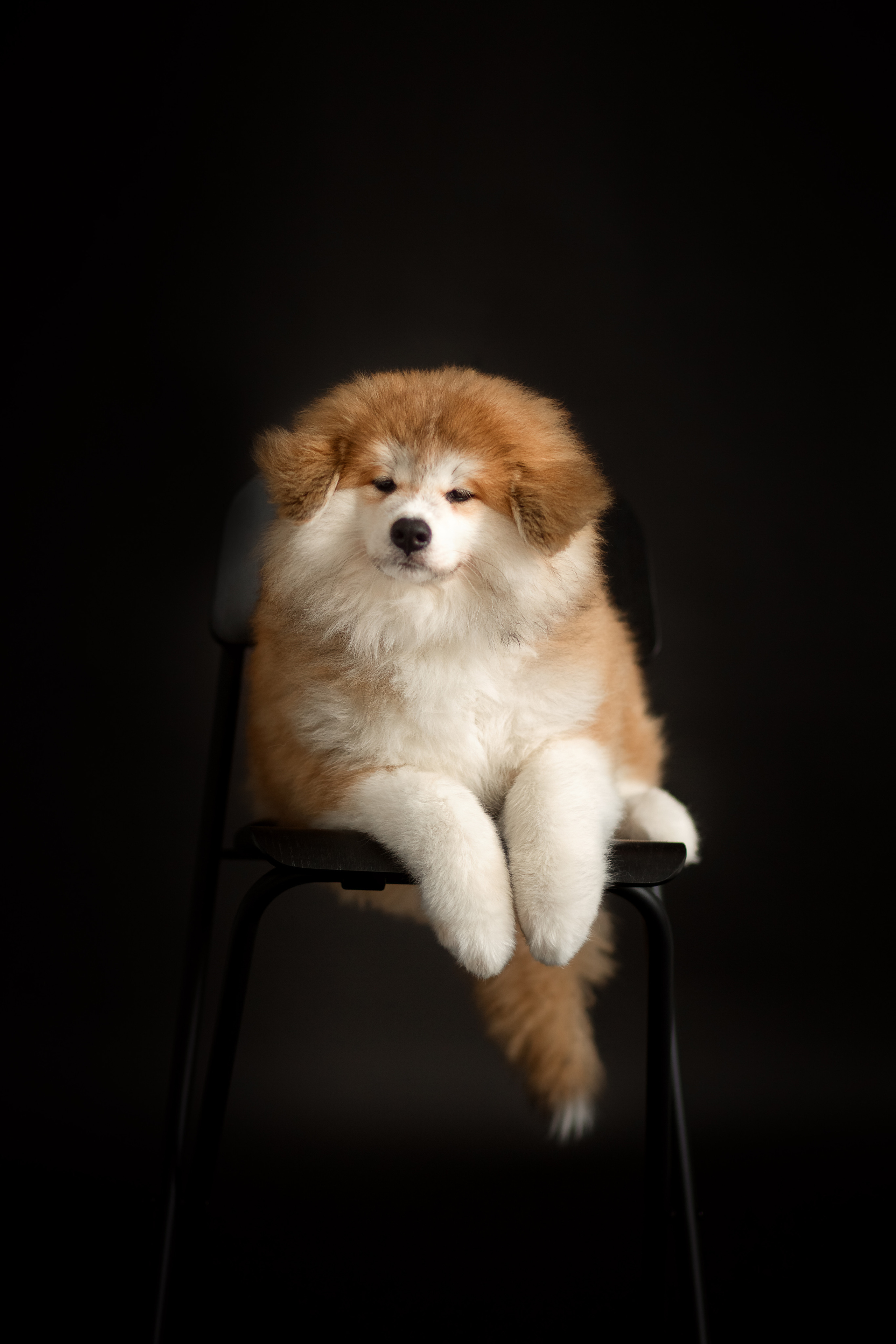 Предыдущие пометы. Алена Попова — фотограф в Хабаровске