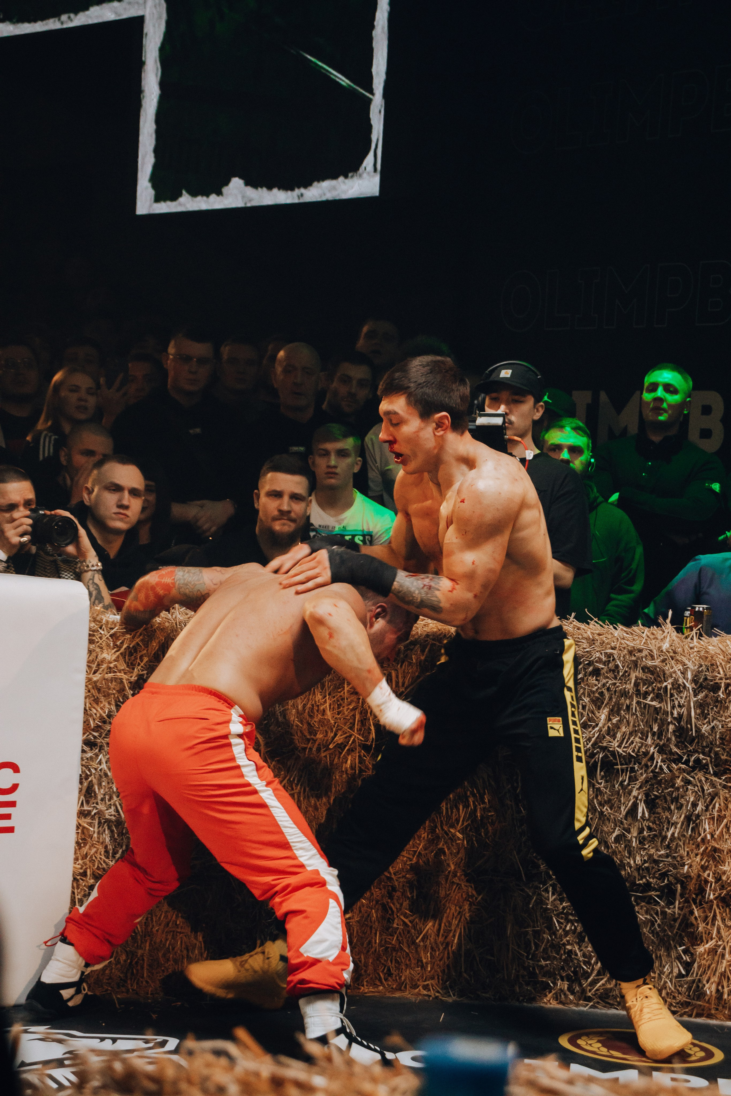 Кулачные бои TopDog. Анастасия Тен