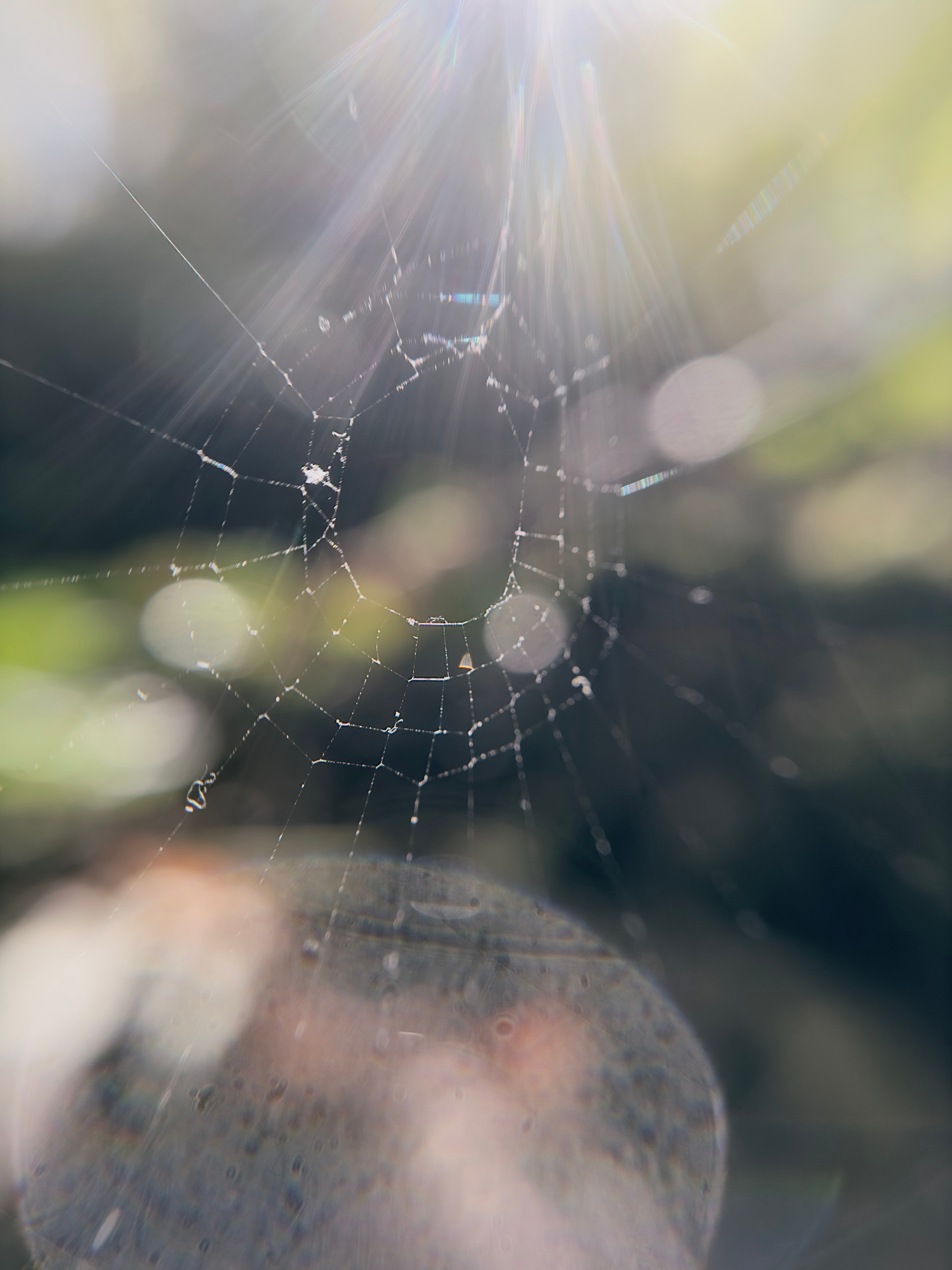 Макро любовь. Смотри, красота!