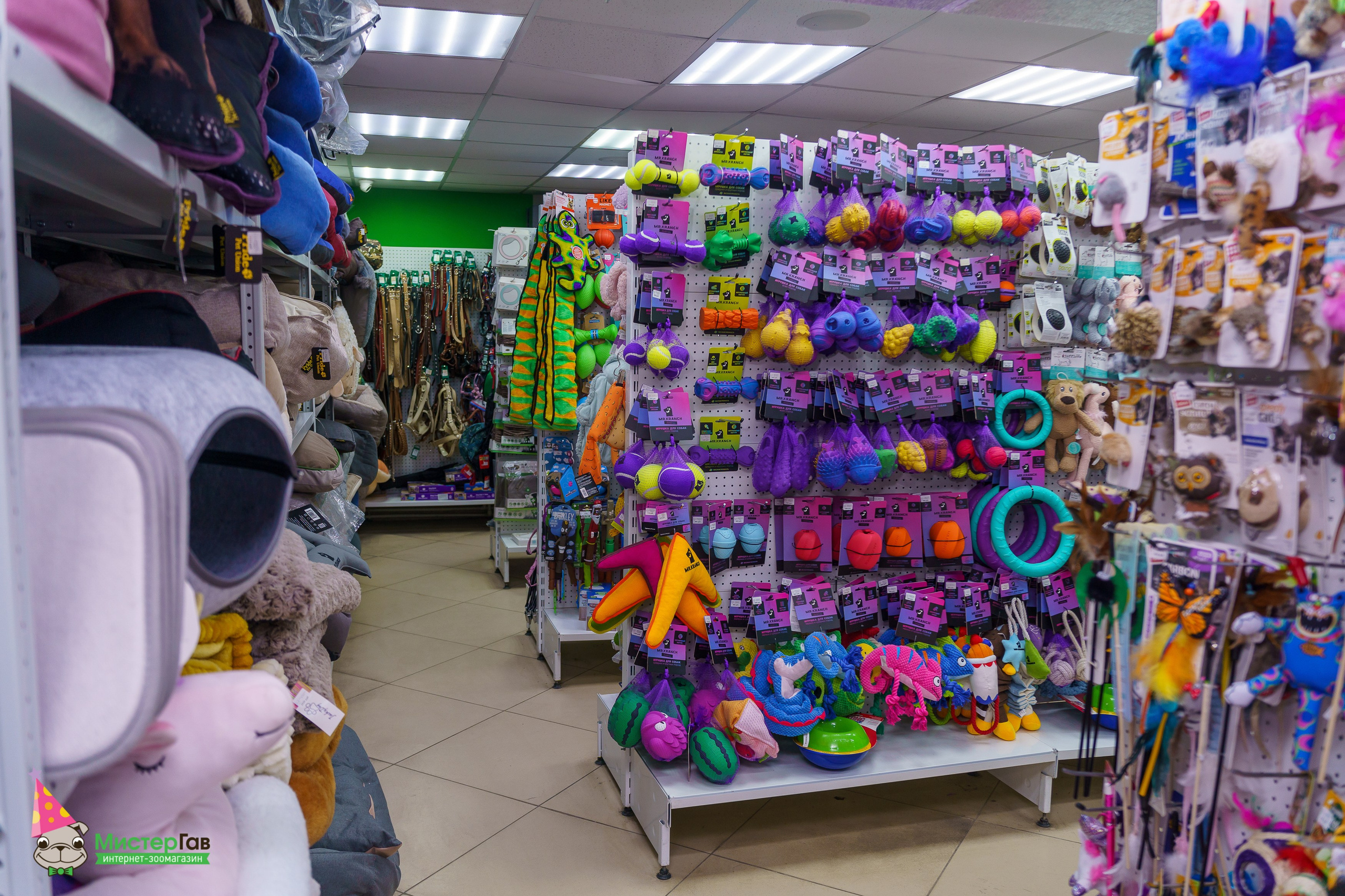 Мистер Гав -13 лет!. Фотограф Челябинск · Ольга Серебрякова