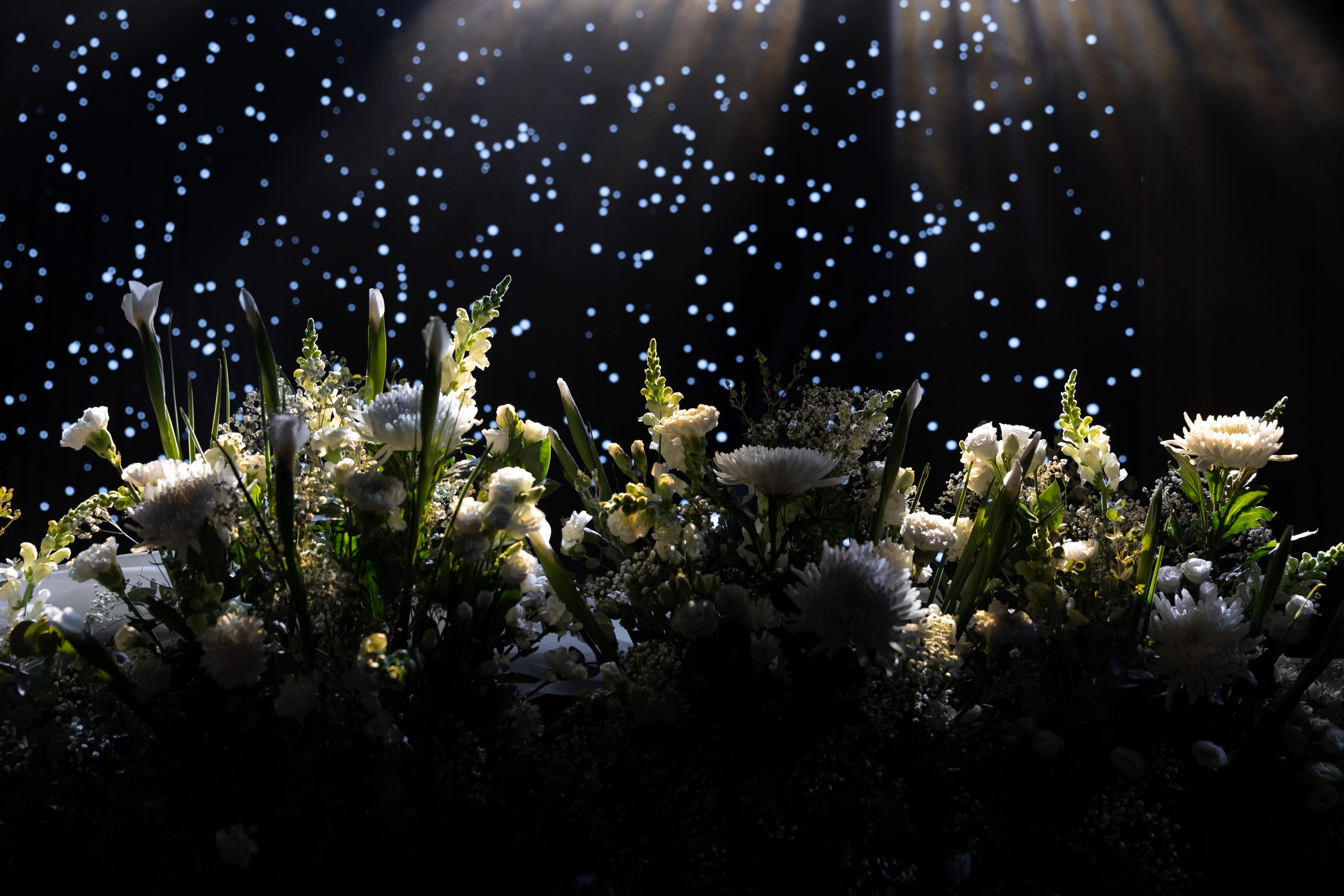 Дмитрий и Екатерина