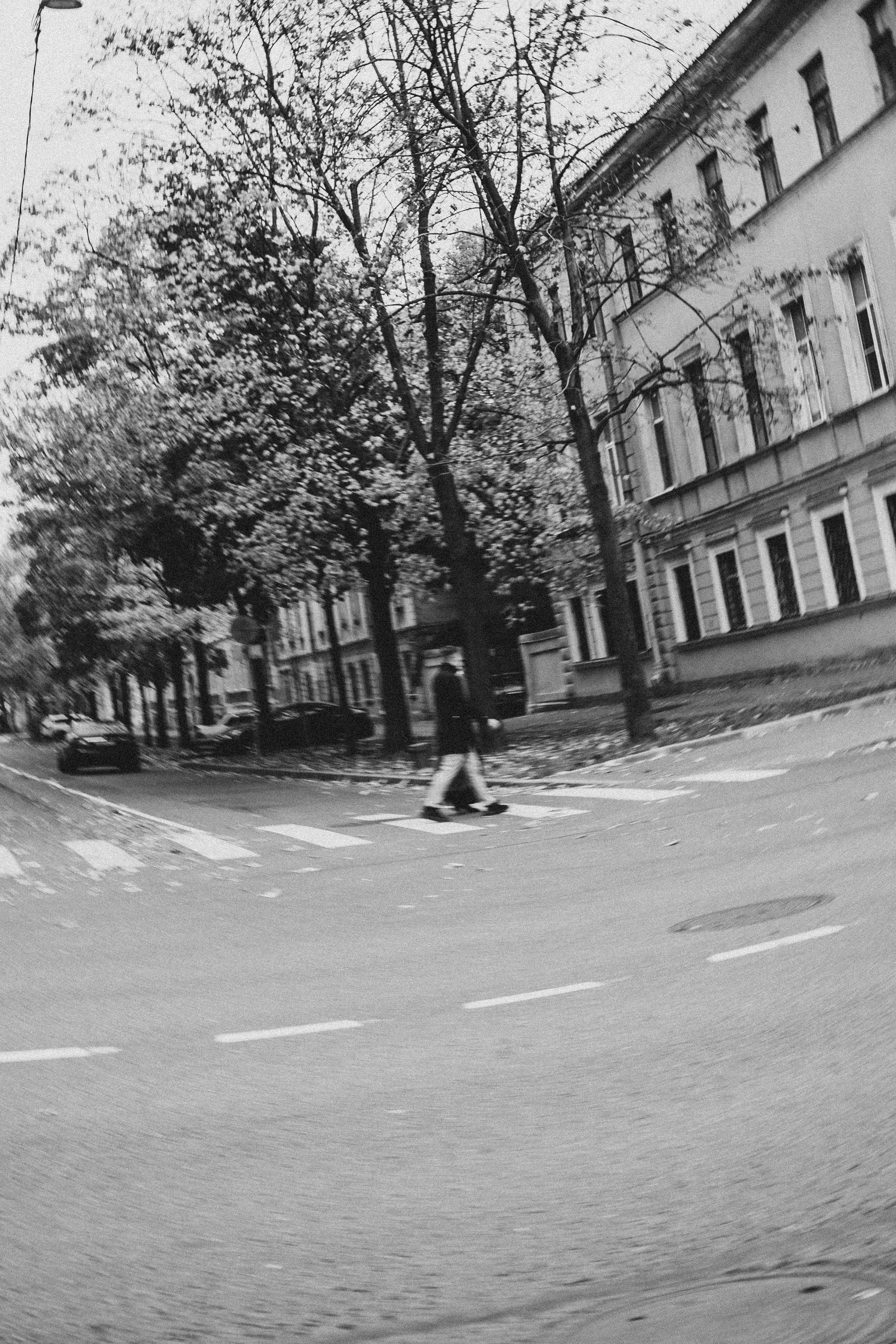 Прогулка по городу. Профессиональный фотограф, Санкт-Петербург — Виктория Богомолова