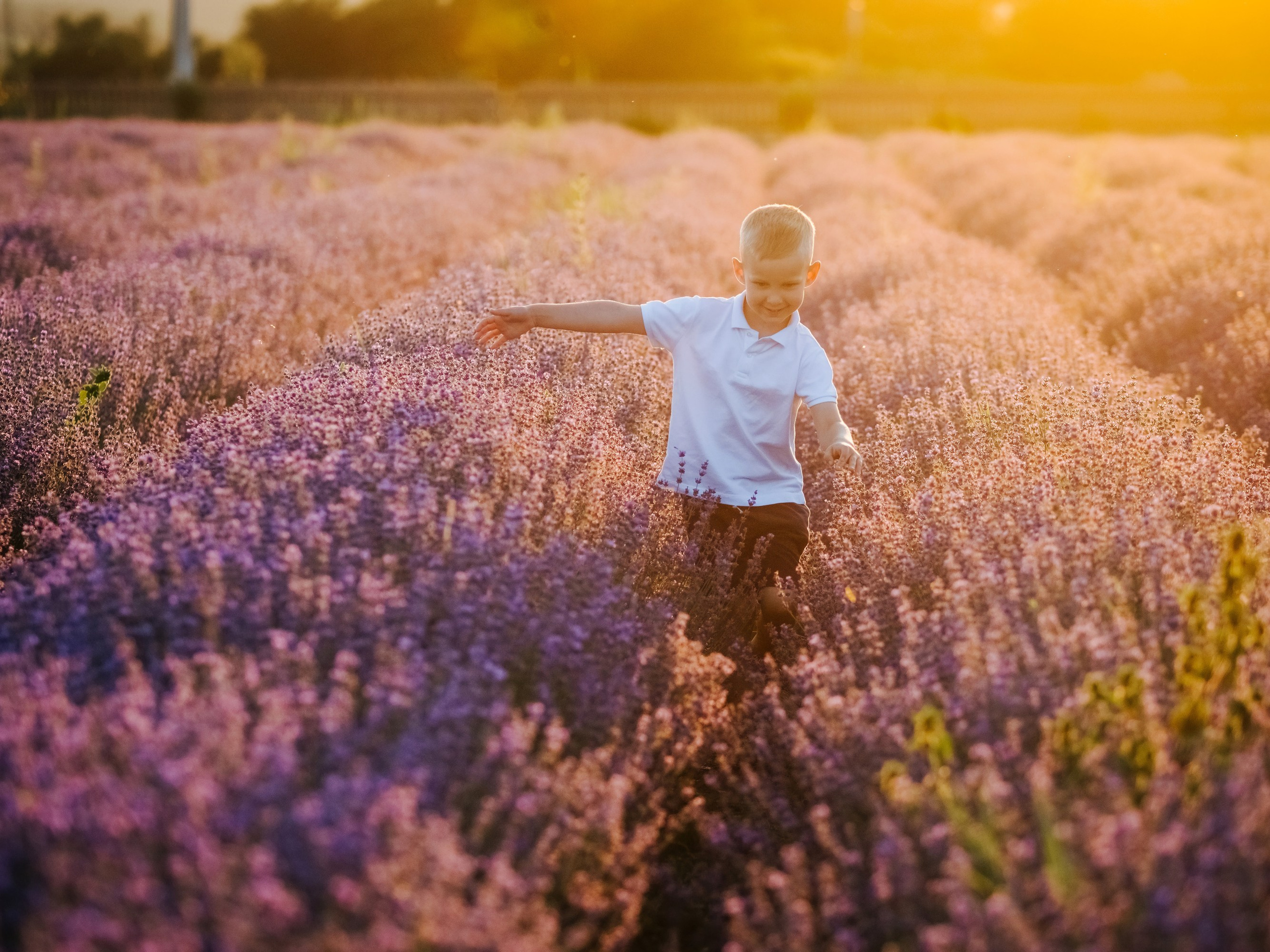 Lavender. Семейный, детский, свадебный, фотограф в городе Анапа