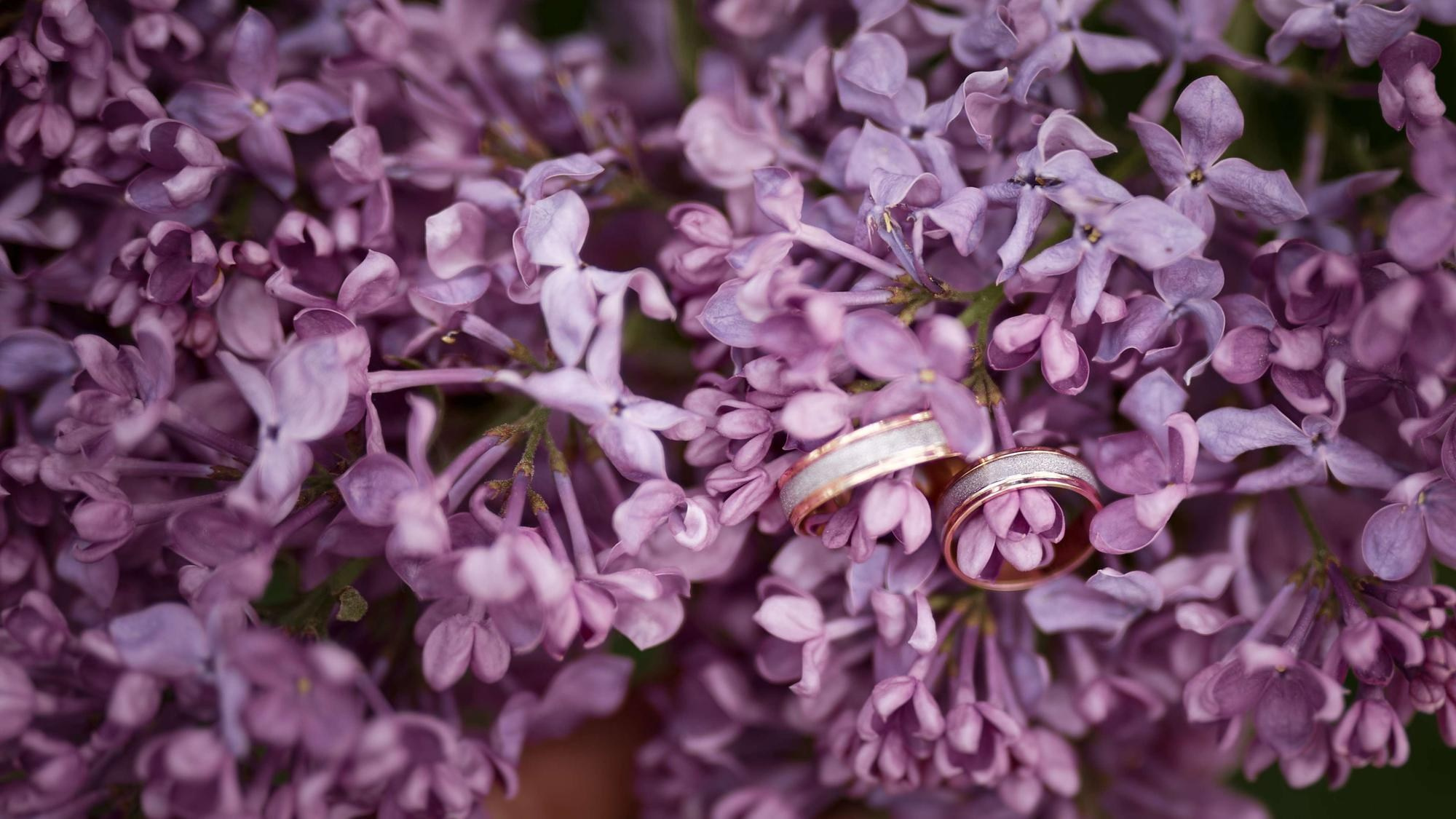 Карина и Евгений. Свадебная фотосъёмка в Брянске | Влад и Ирина Тютьковы