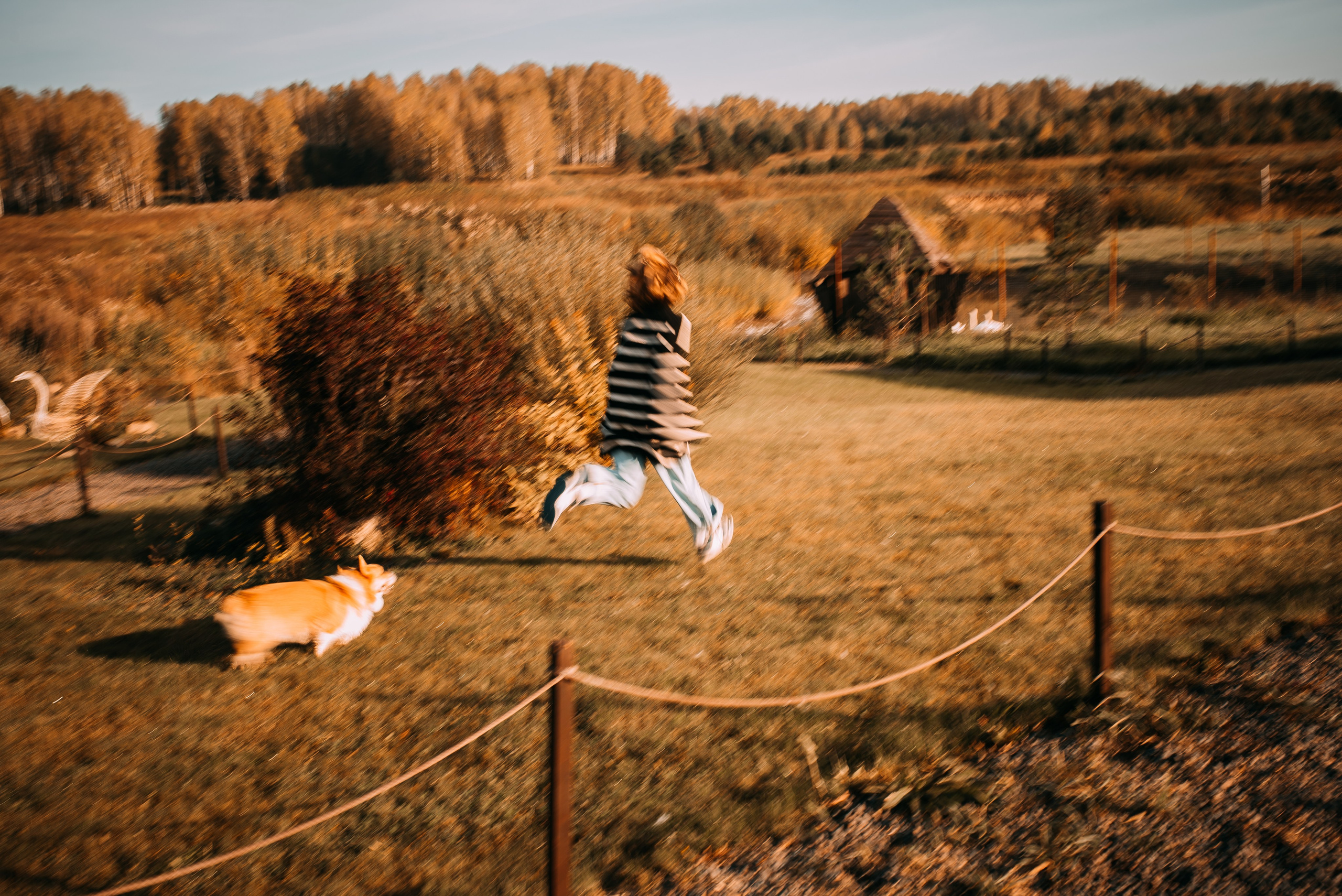Лаки парк осень Полина. Фотограф в Болгарии. Фотограф в Созополе