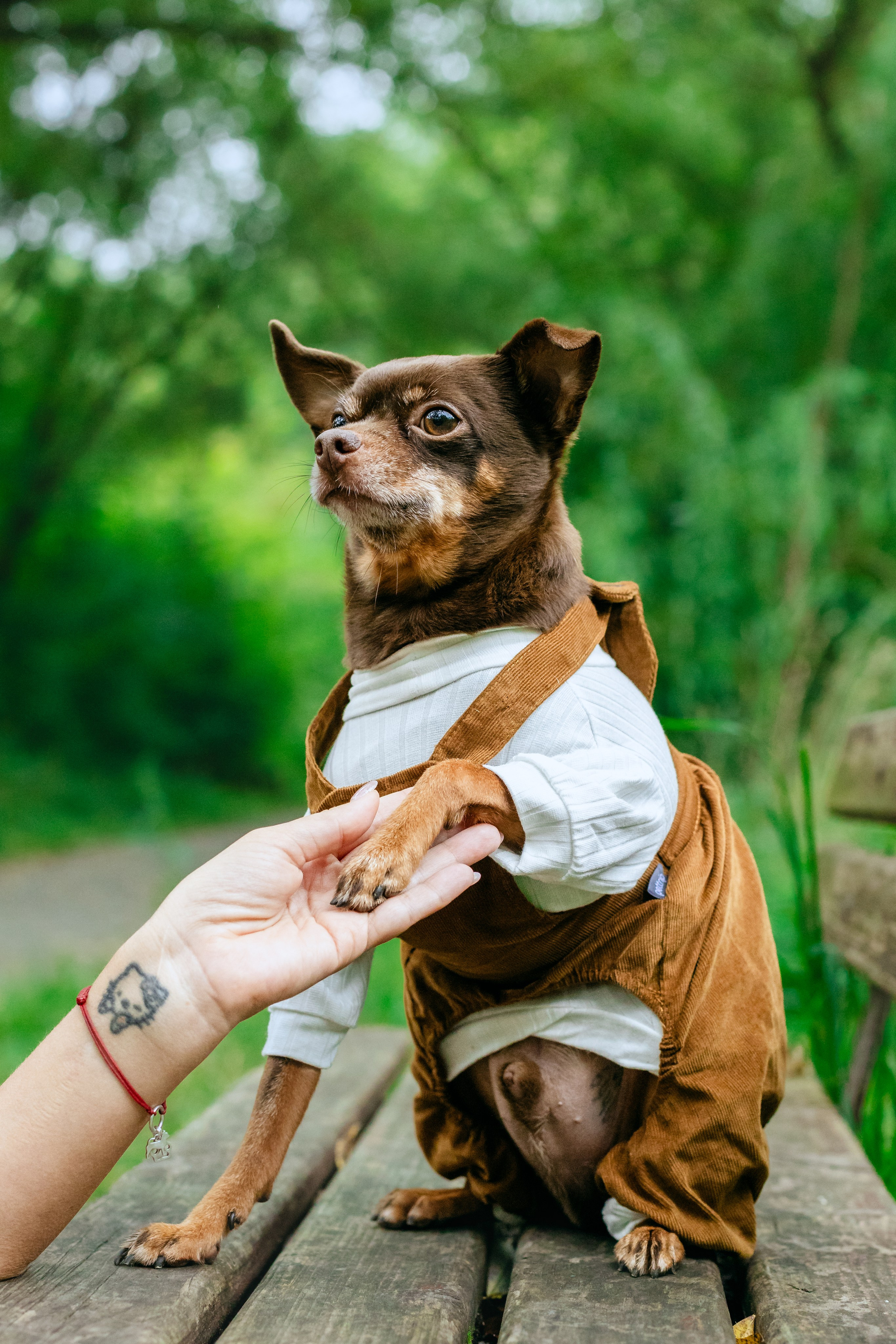 Юля и Леонид. Фотограф-анималист Татьяна Степанова