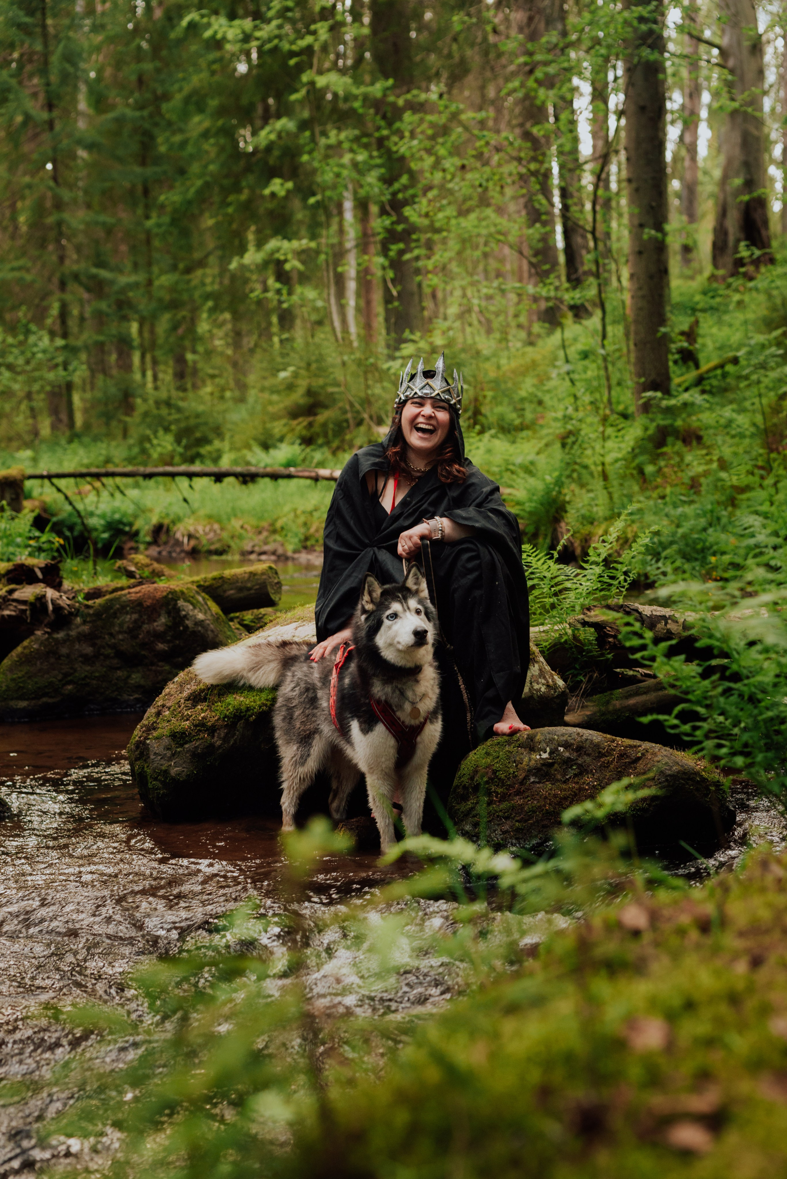 Догтрекинг. Фотограф в Санкт-Петербурге и Ленинградской области