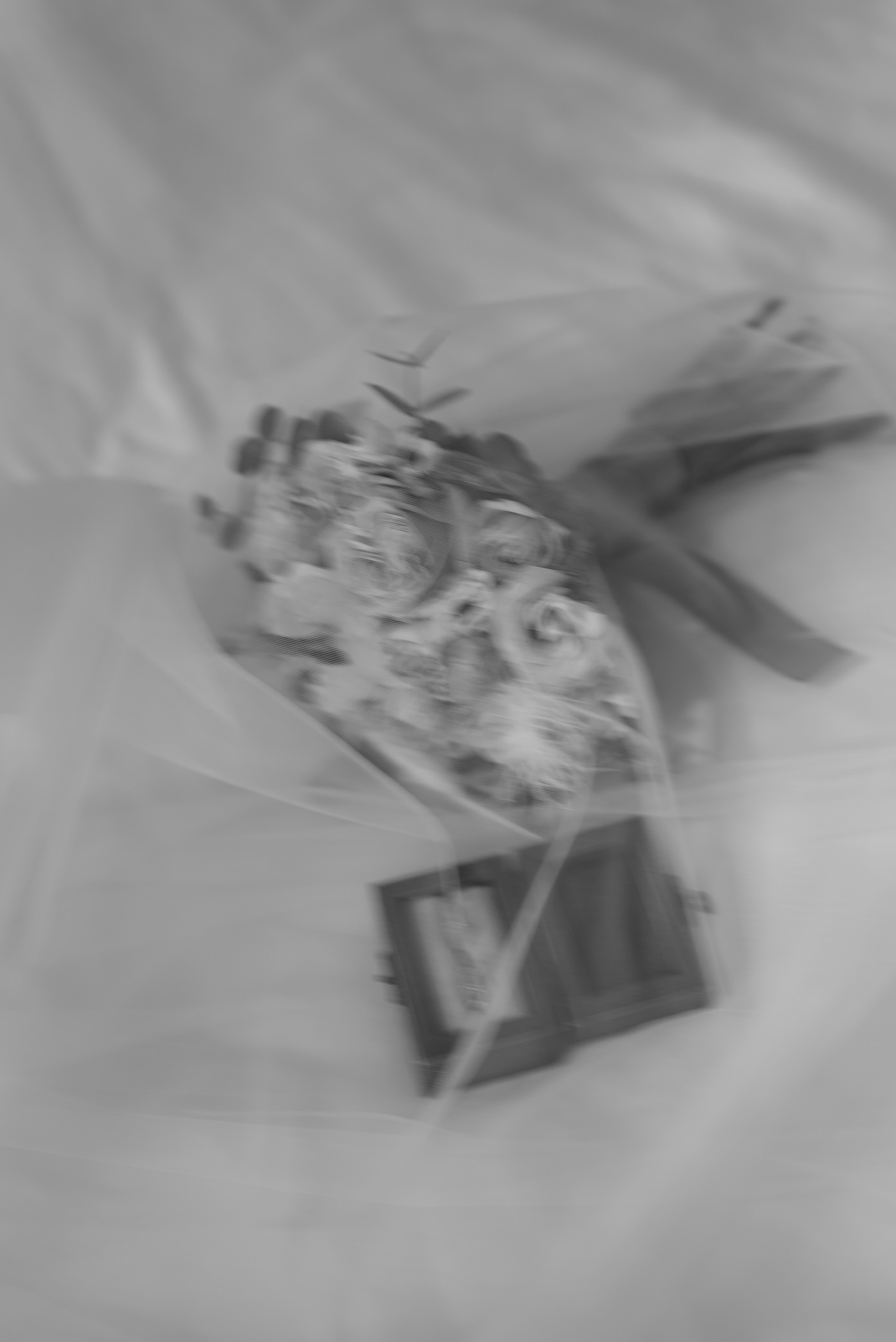 8.12.23 Саша и Ирина. Свадебный фотограф Юлия Гусева