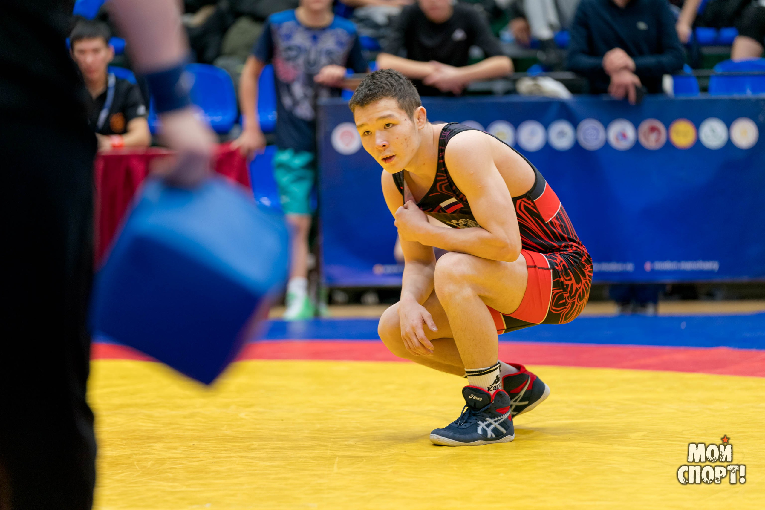 Первенство РС (Я) по греко-римской борьбе пам. Д. Г. Максимова. Студия «Мой Спорт!» — все о спорте в Якутии