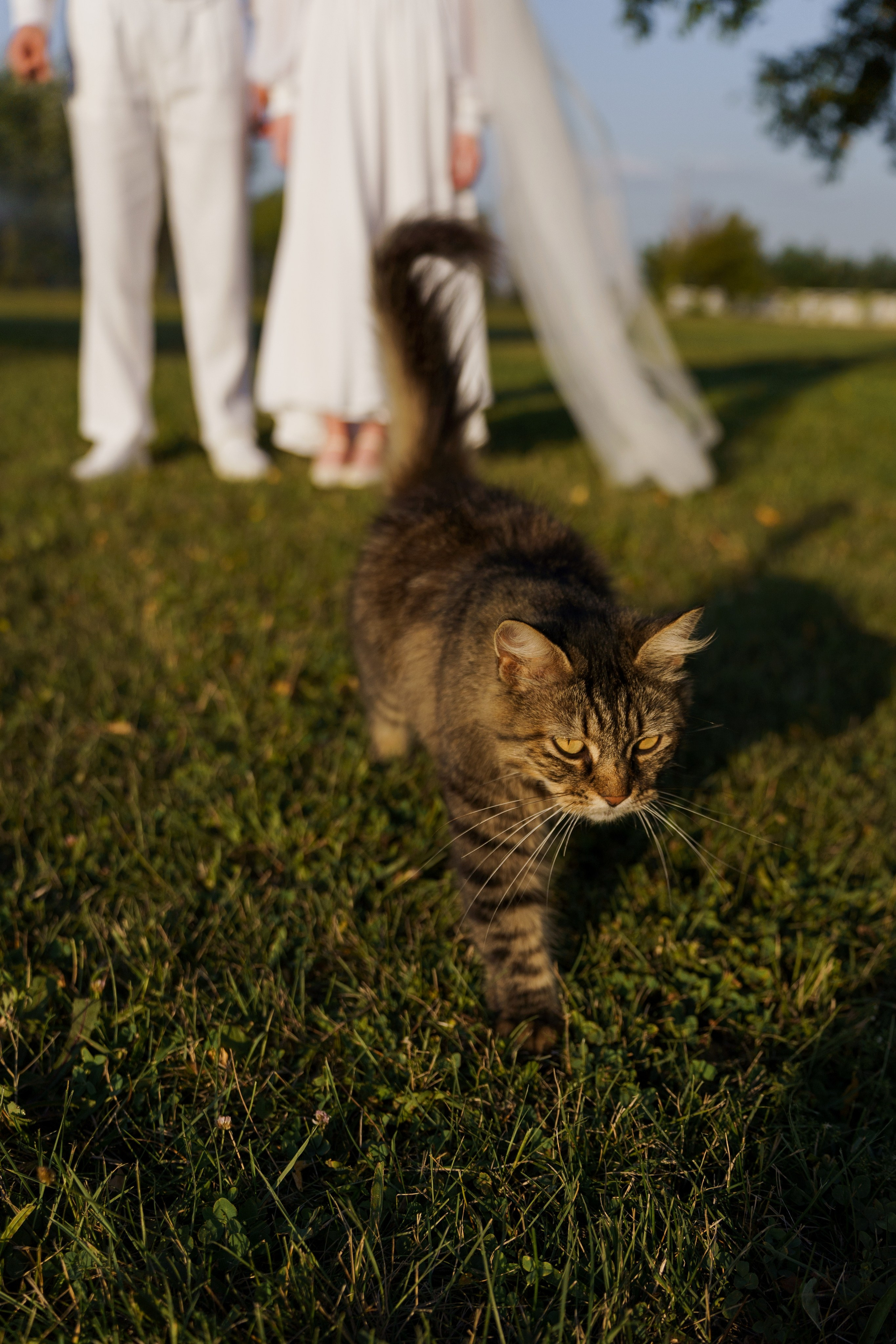 Свадебная фотосъемка в русских традициях от ТВИНС СТУДИО. ТВИНС СТУДИО — лучшие свадебные фотографы и видеографы в Краснодаре