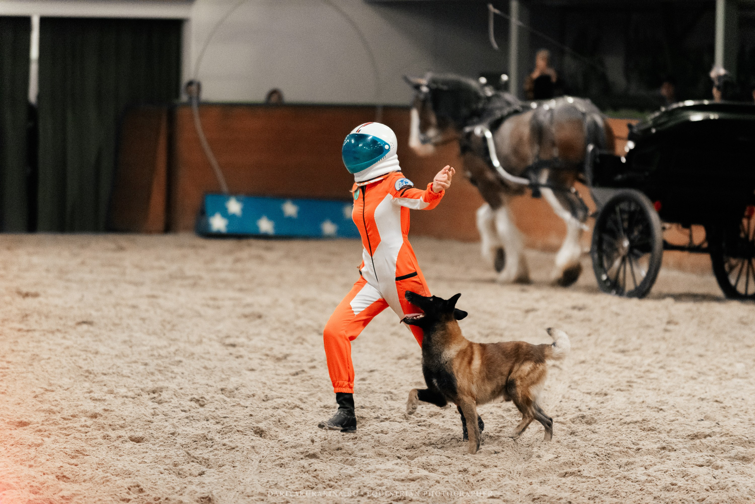 Конное представление «Дыхание Звёзд». Конный фотограф Куракина Дарья • Фотосессии с лошадьми