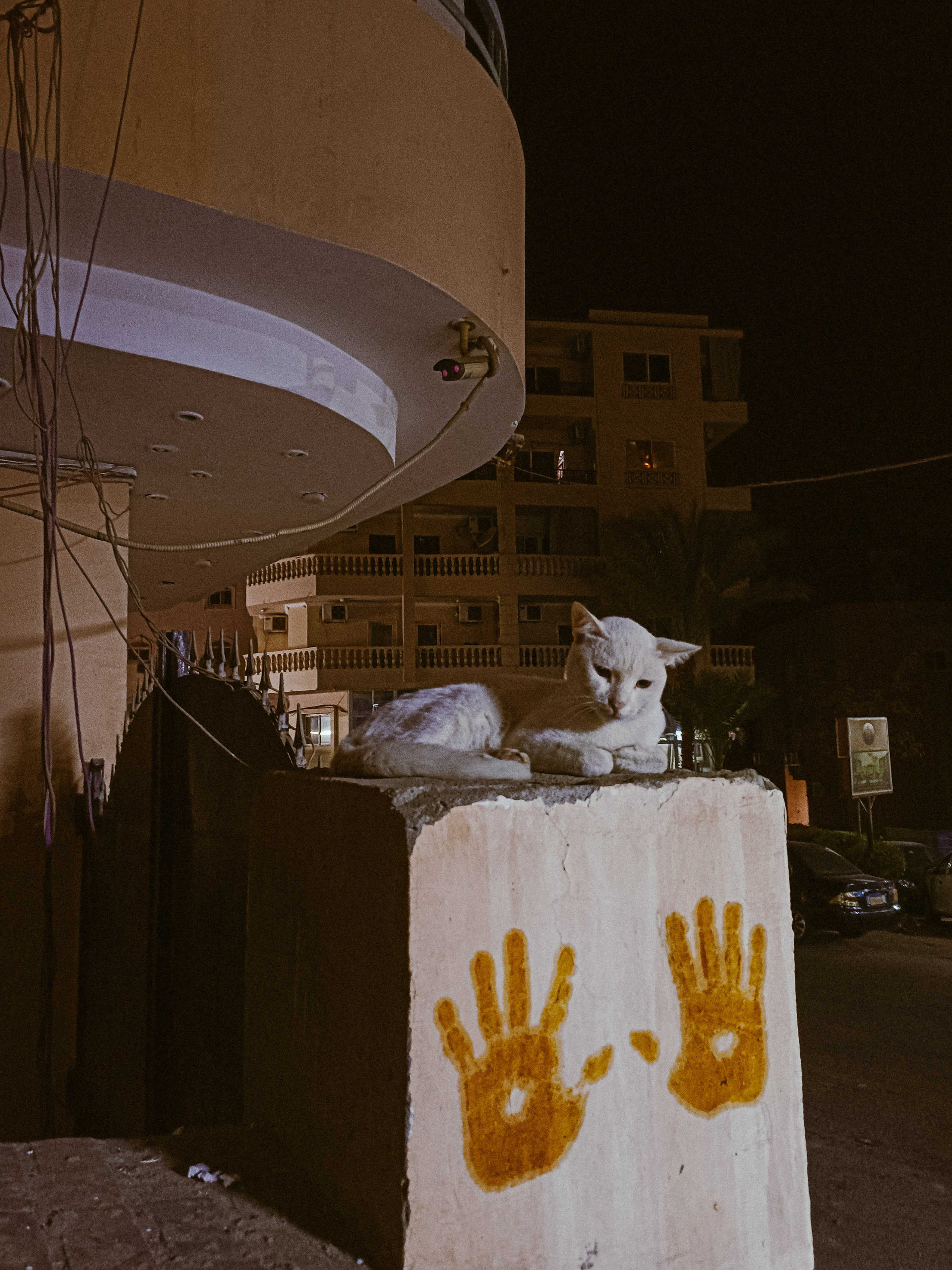 Мобильная. Jorgis — фотограф в Хургаде / обучение фотографии