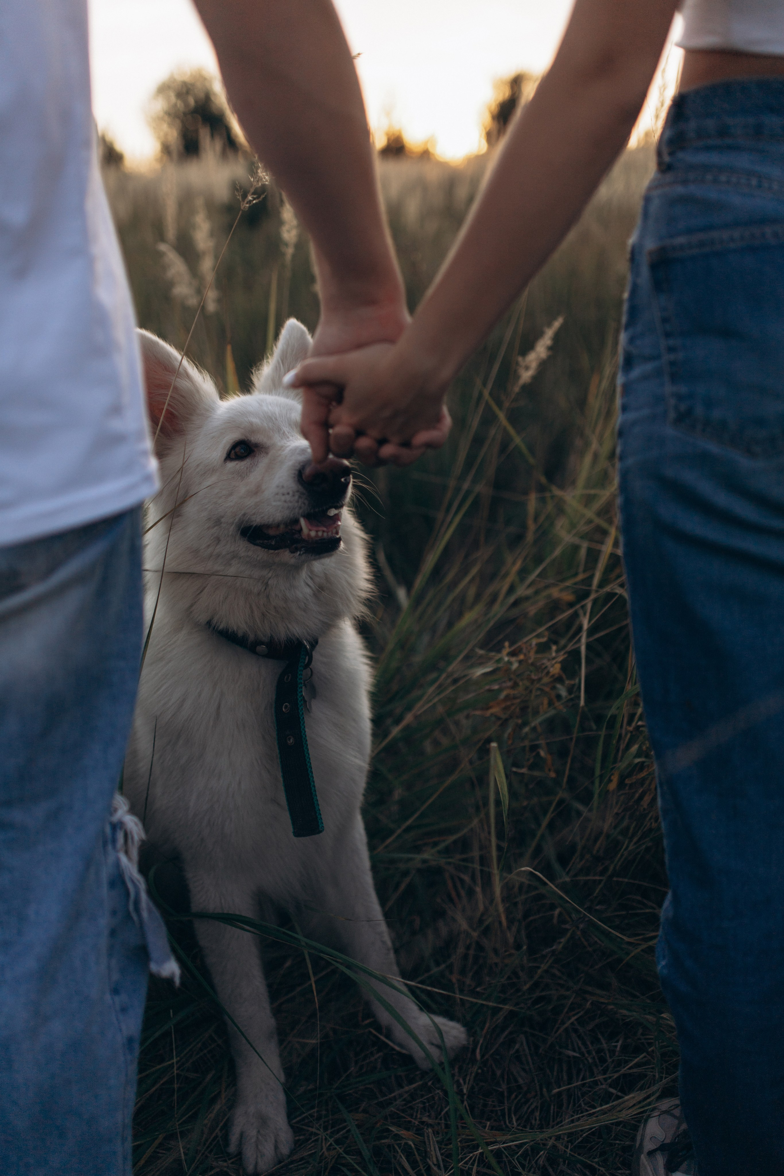 Мы вместе. Главная