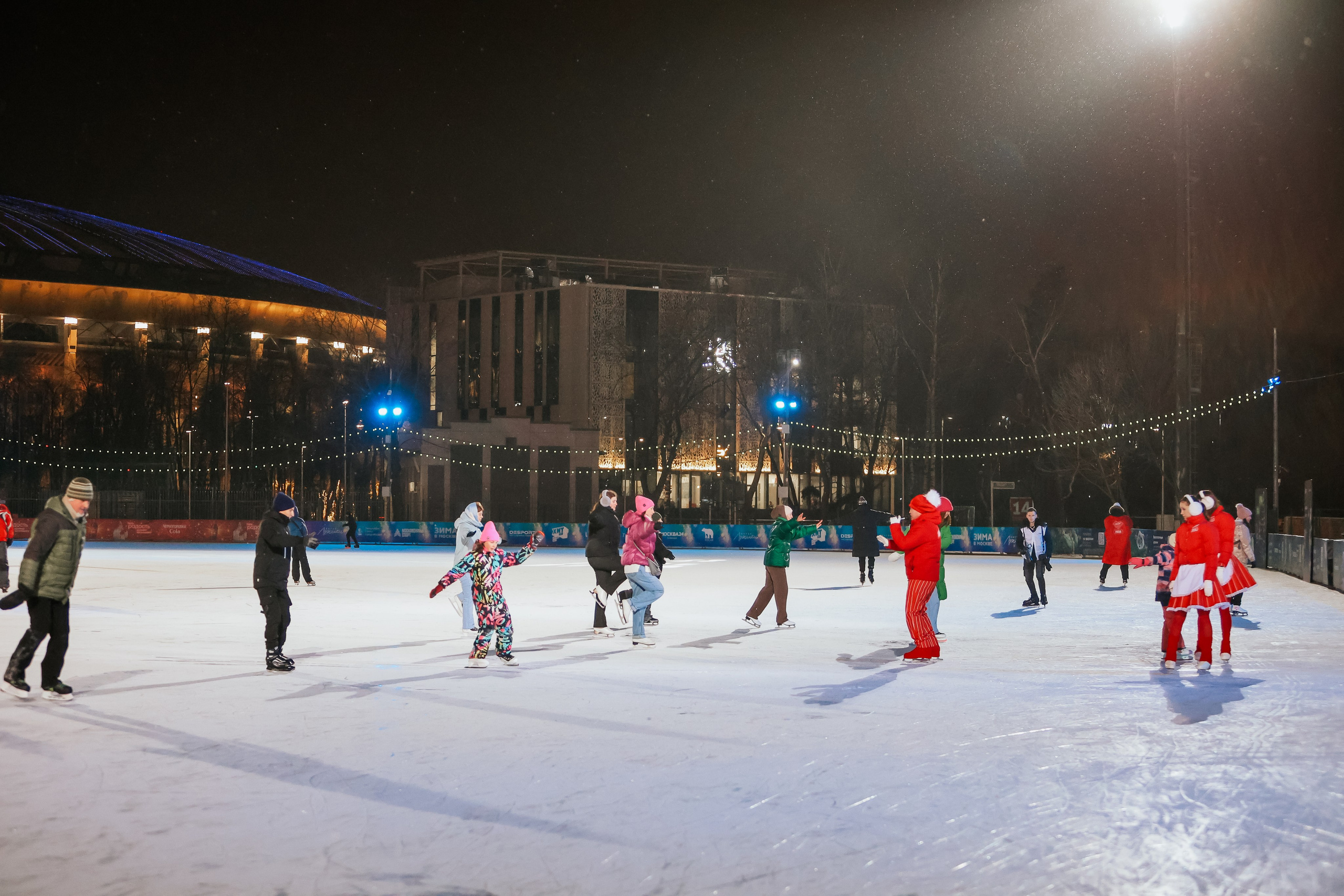 Ледовое Шоу Лужники. Фотограф и видеограф Анна Домашенко