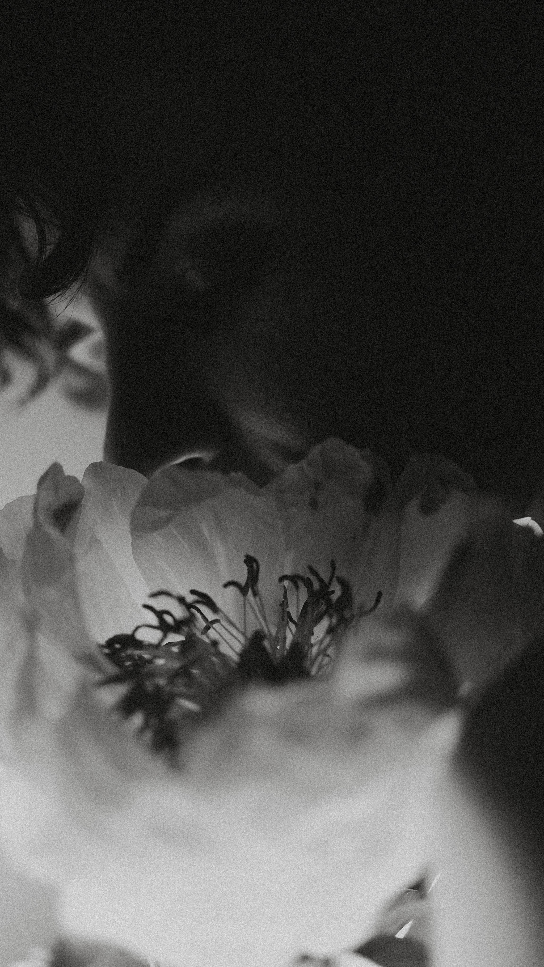 Женский фотограф. Краснодар. Ню. Будуар. Женский фотограф в Краснодаре. Ню. Будуар