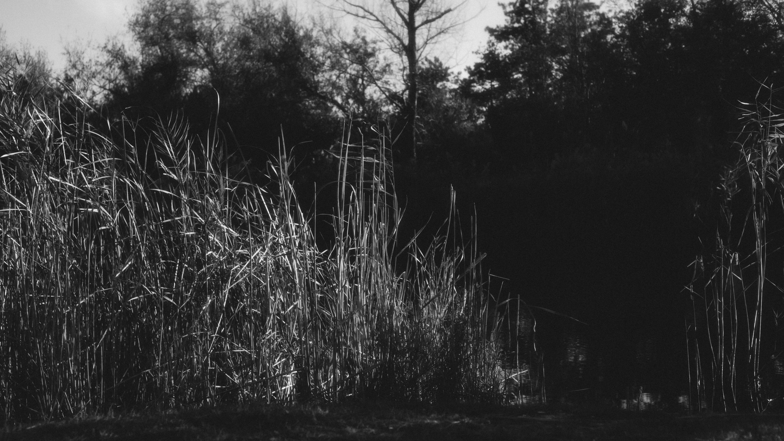 Love story Anapa. Фотограф и Видеограф Анапа, Новороссийск, Краснодар. Алина и Женя