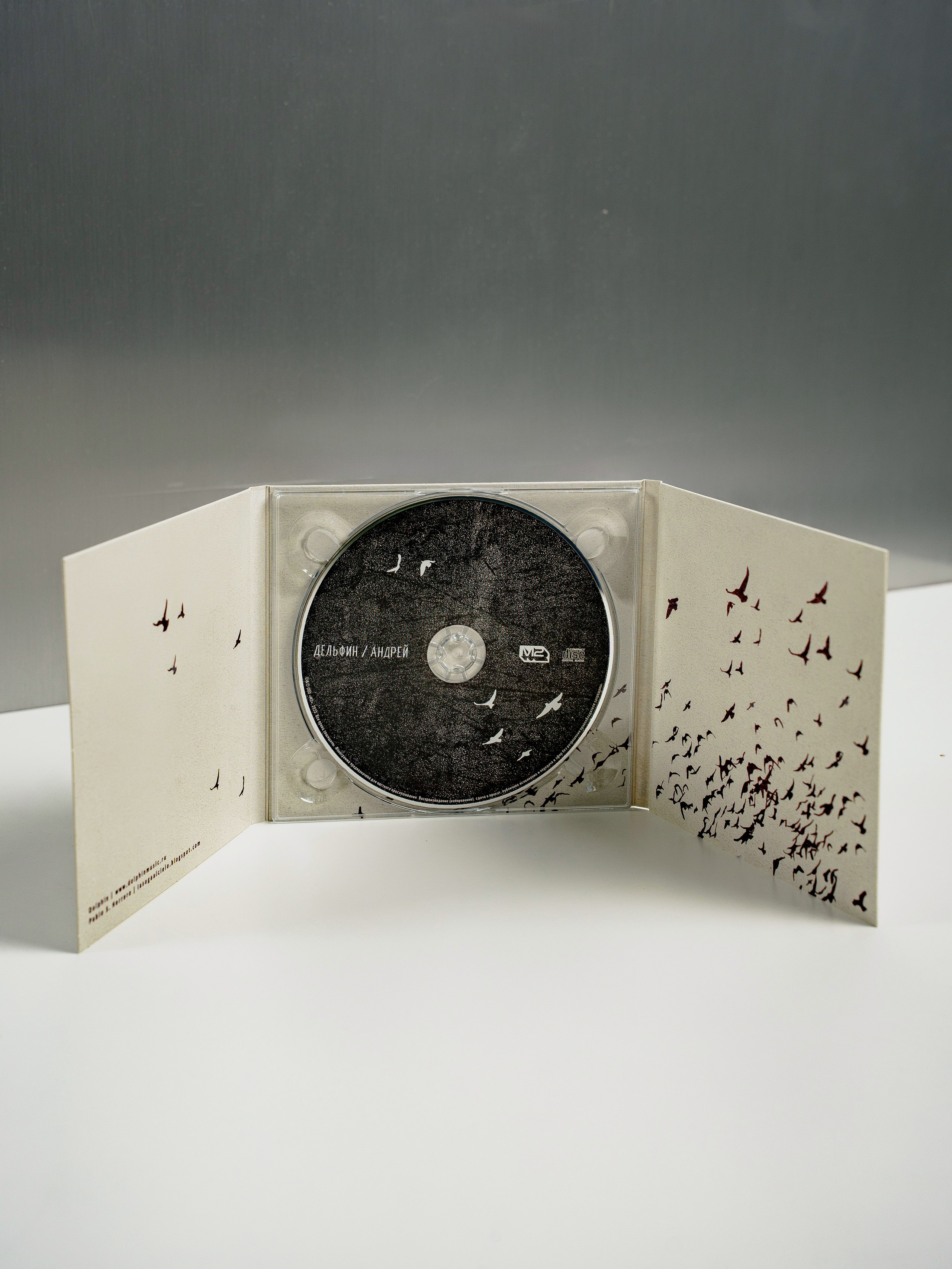 Дельфин. Портретный фотограф Москва Белогорцев Сергей