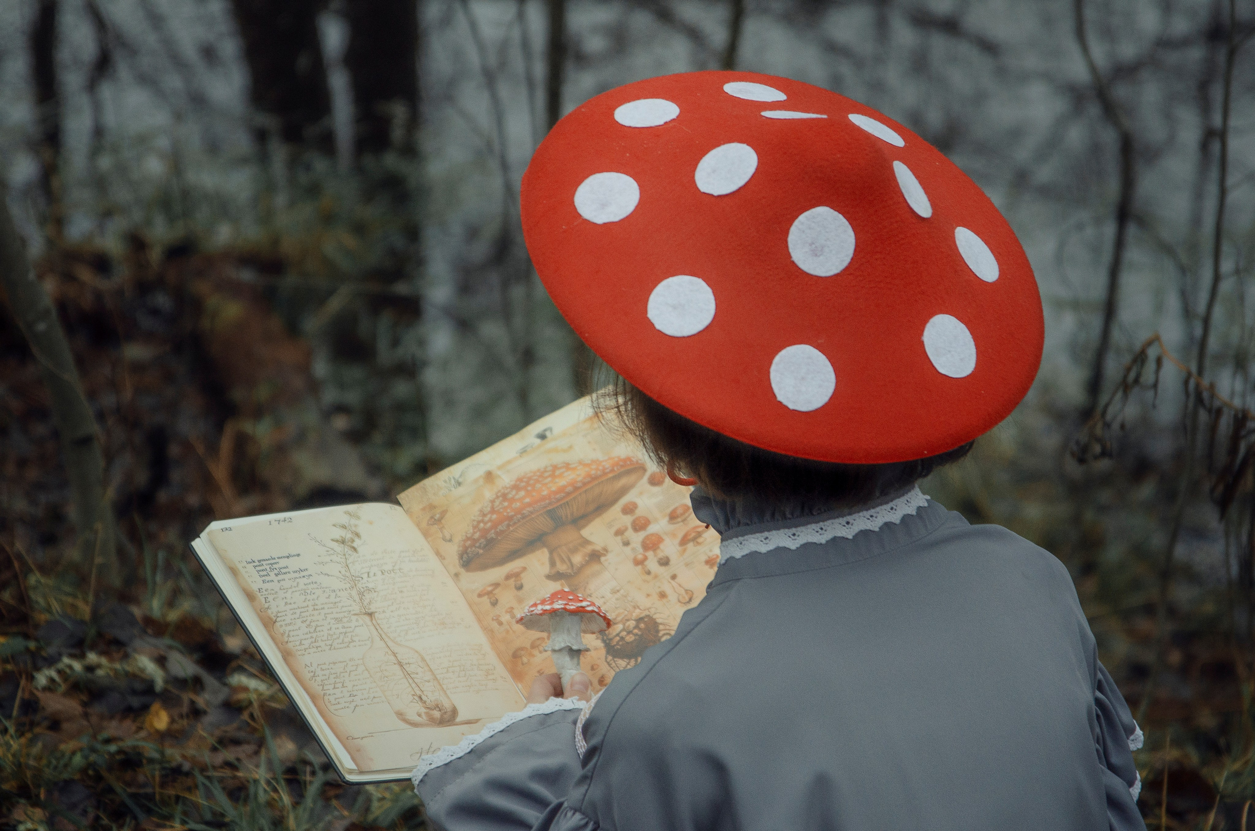 Атлас аманитовых чудес. Фотосессии по мотивам сказок и фильмов — Катерина Исауленко. СПб